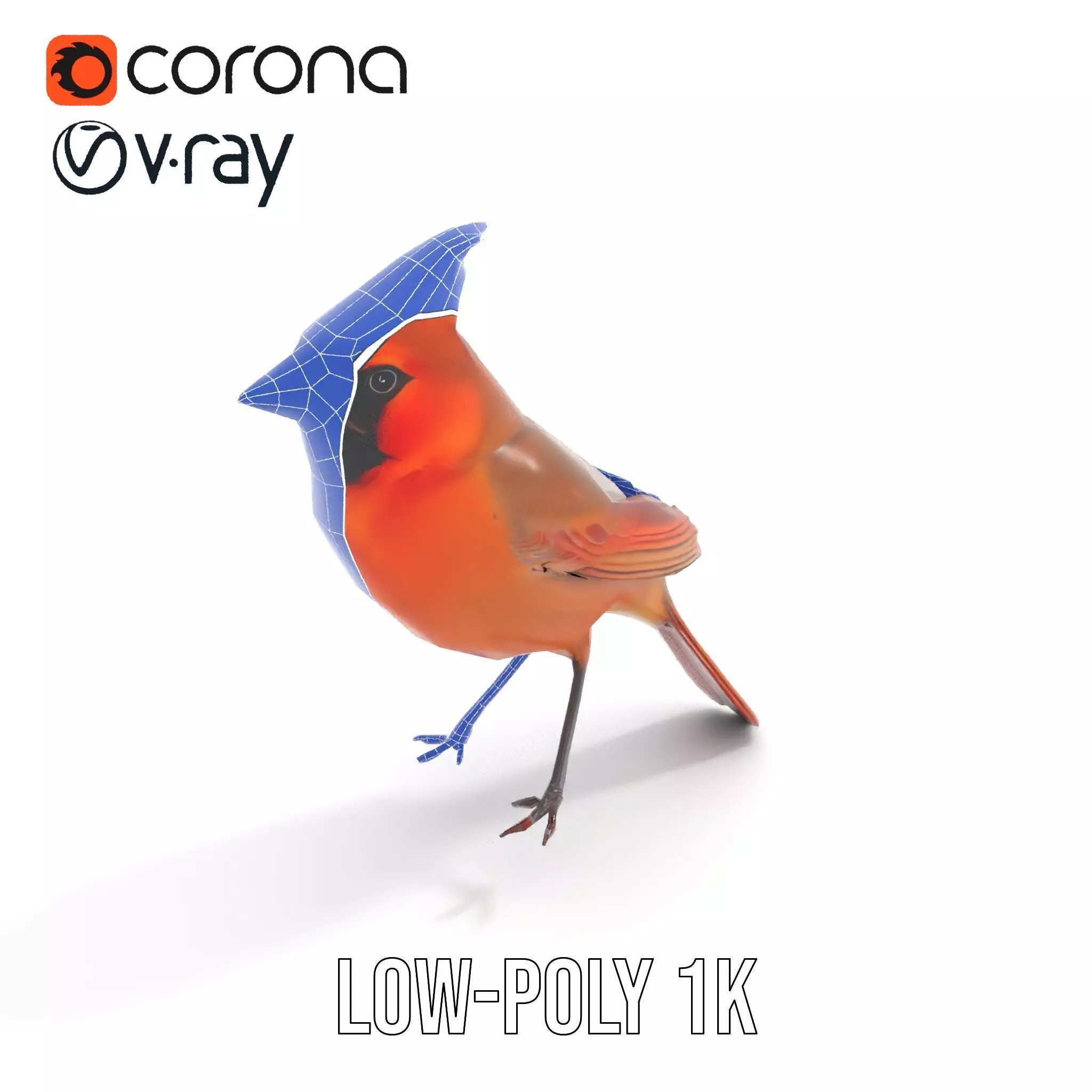 Scarlet Cardinal model pack Low-poly 3D model_15