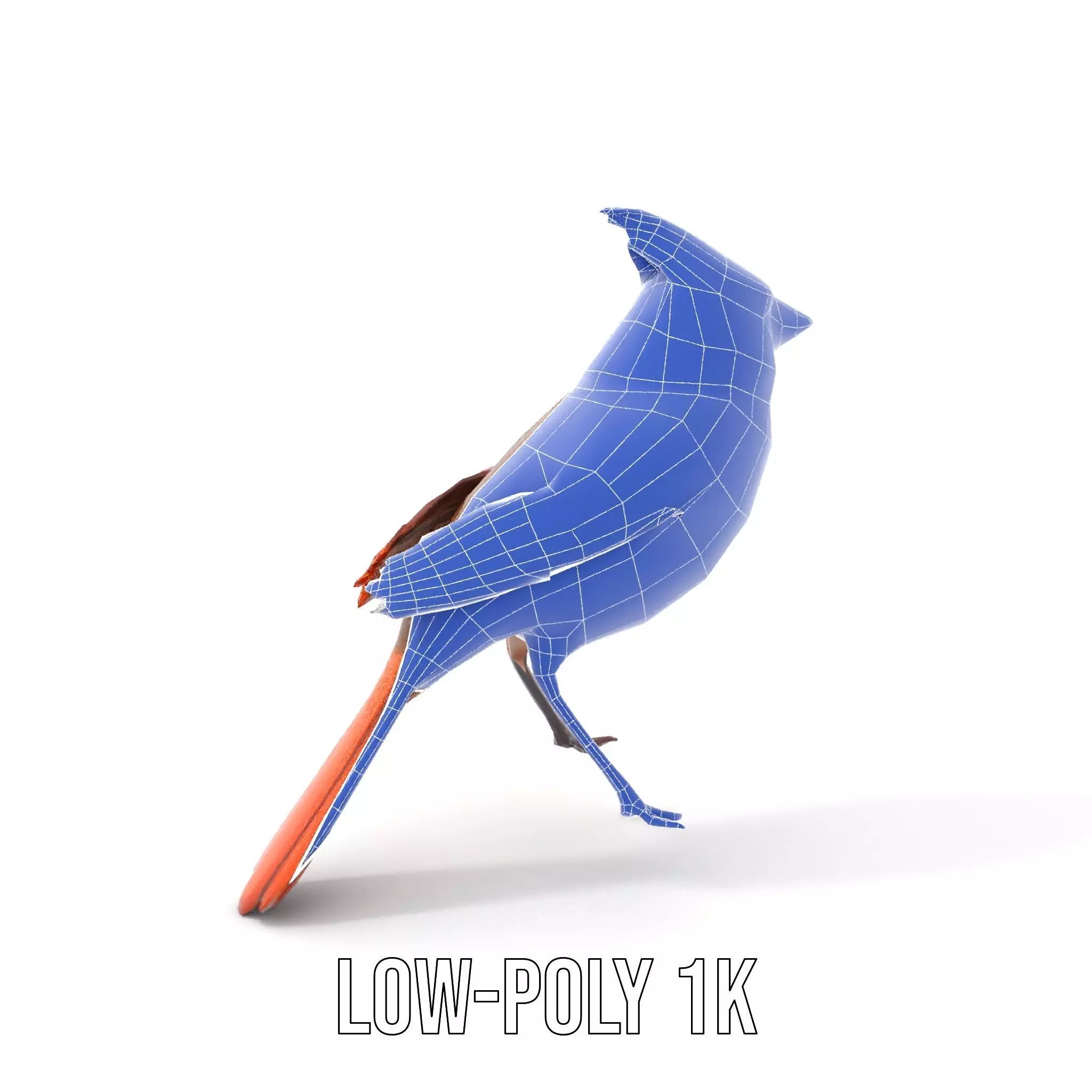 Scarlet Cardinal model pack Low-poly 3D model_13