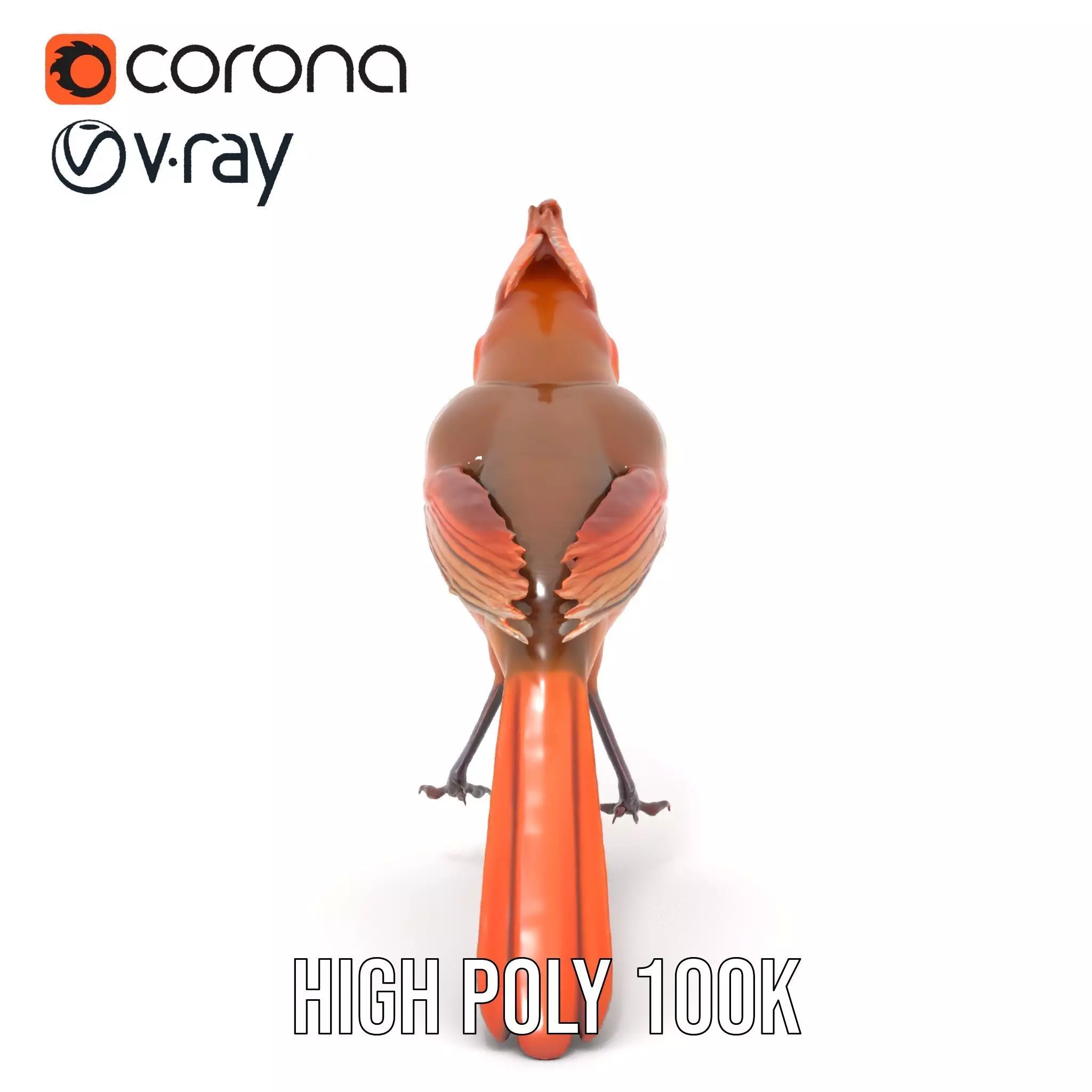 Scarlet Cardinal model pack Low-poly 3D model_27