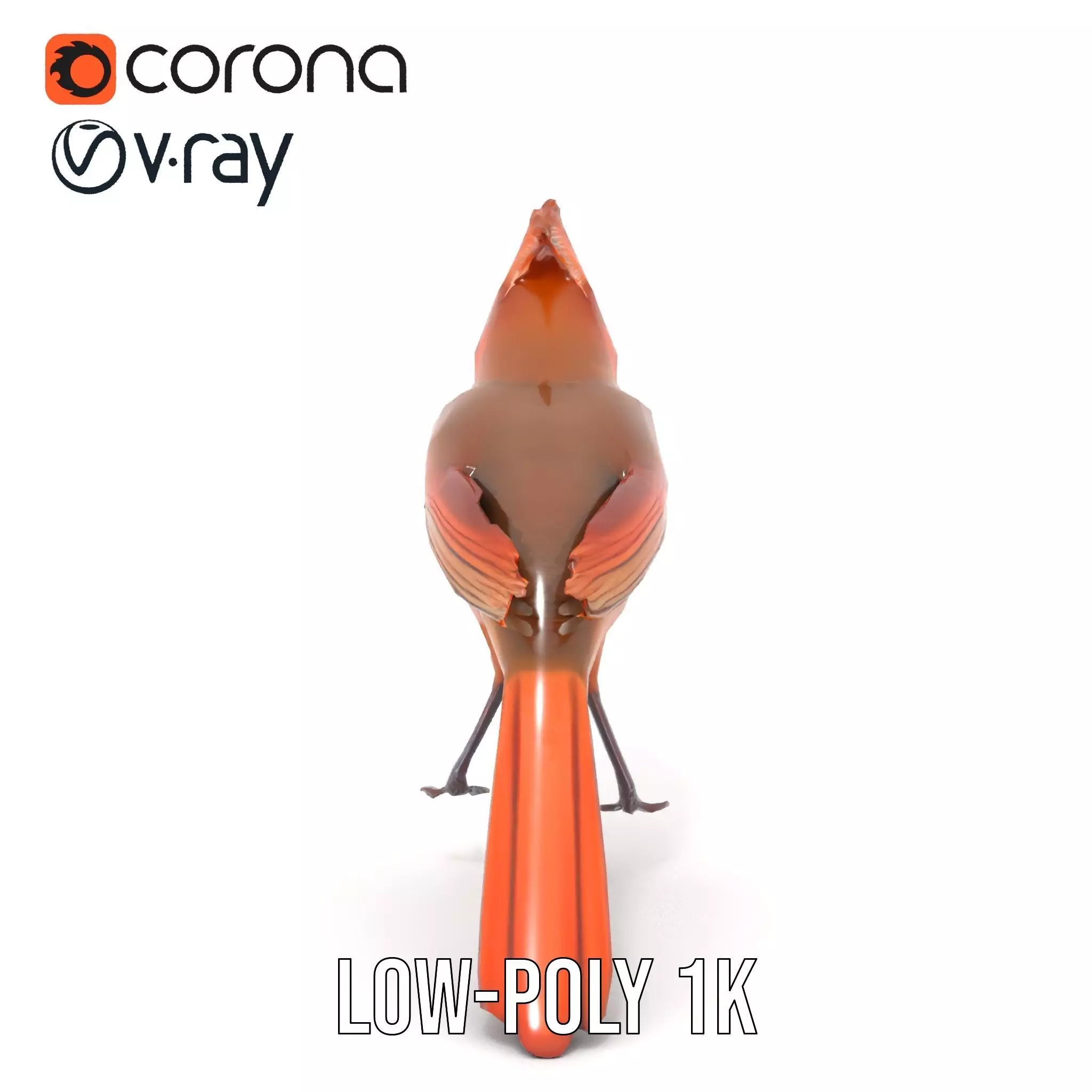 Scarlet Cardinal model pack Low-poly 3D model_26