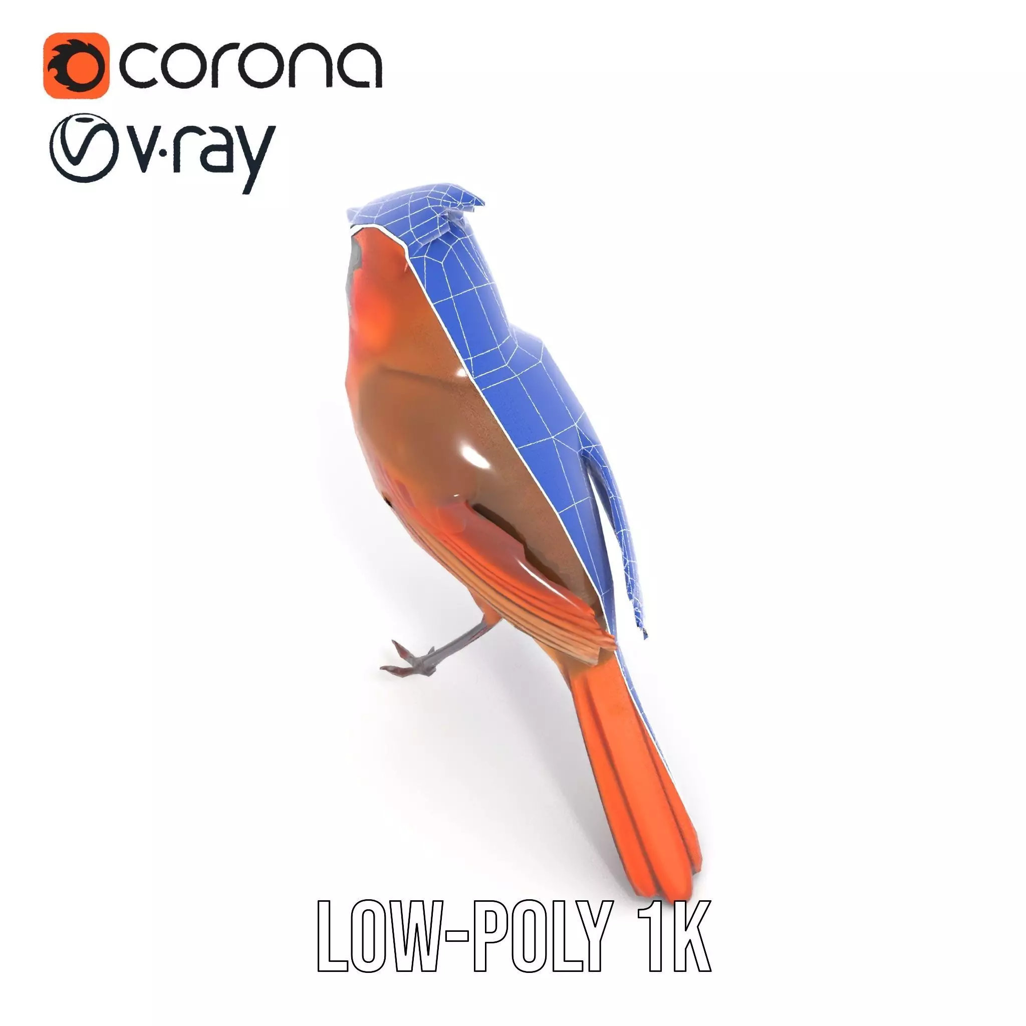 Scarlet Cardinal model pack Low-poly 3D model_20