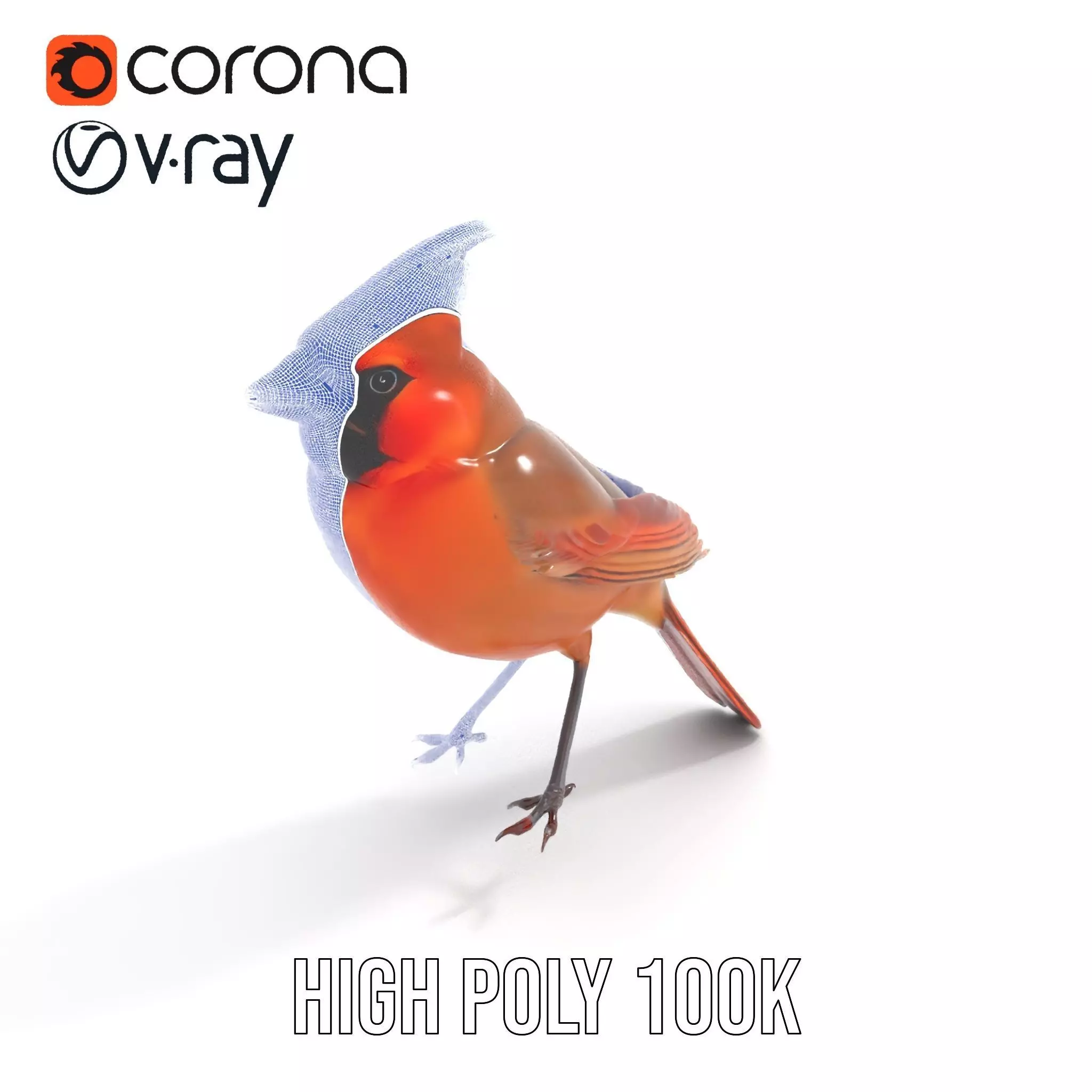 Scarlet Cardinal model pack Low-poly 3D model_18