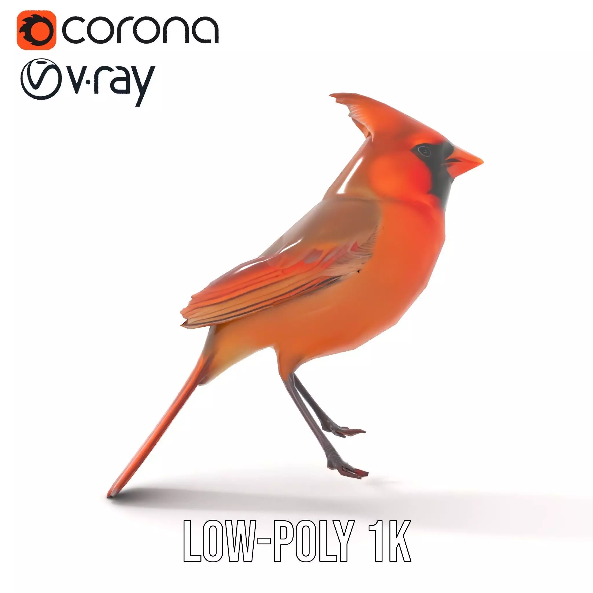 Scarlet Cardinal model pack Low-poly 3D model_10