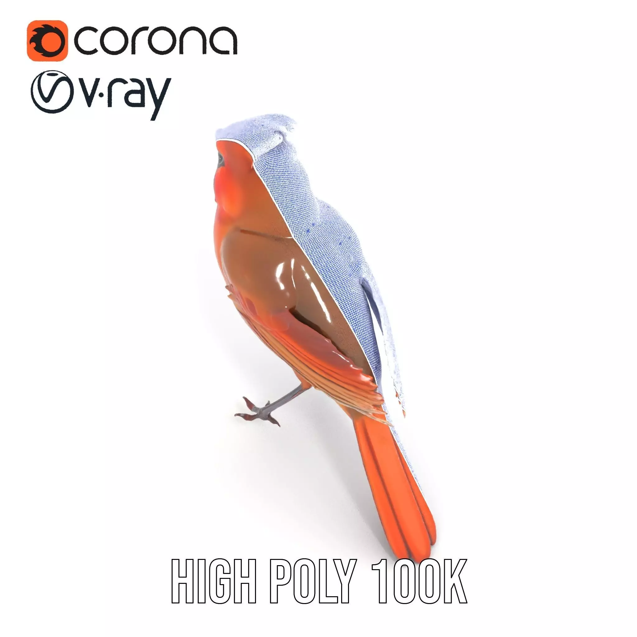 Scarlet Cardinal model pack Low-poly 3D model_30