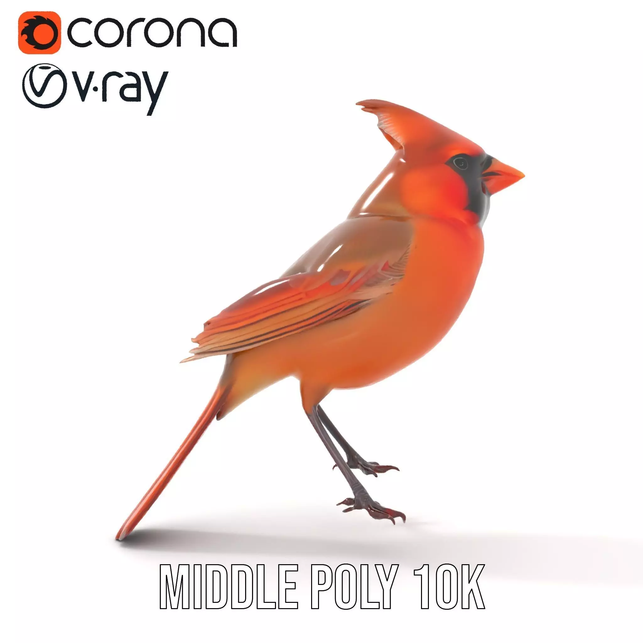 Scarlet Cardinal model pack Low-poly 3D model_22