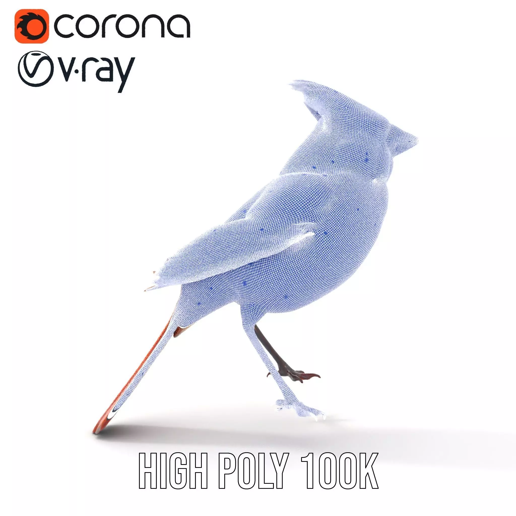 Scarlet Cardinal model pack Low-poly 3D model_33