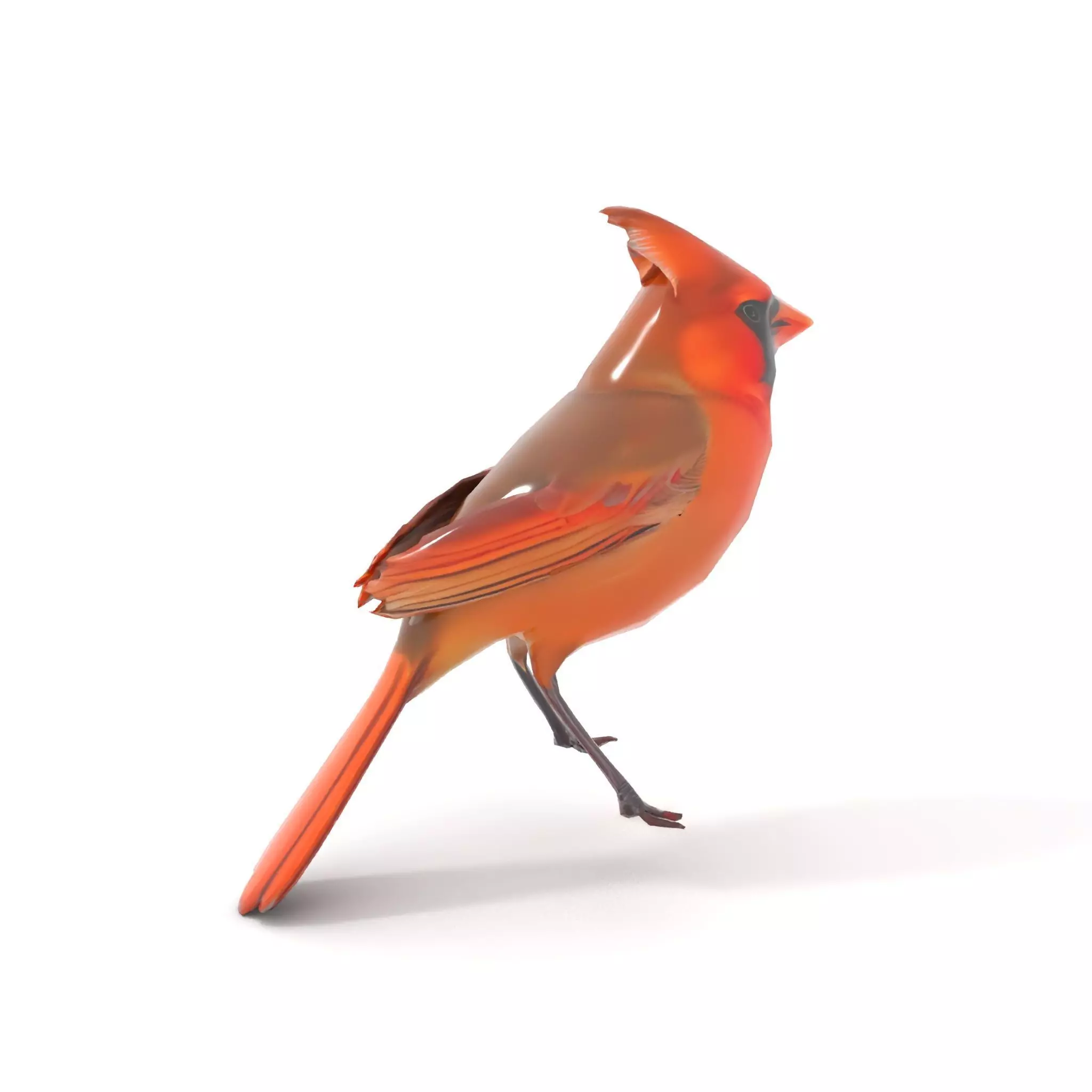 Scarlet Cardinal model pack Low-poly 3D model_8