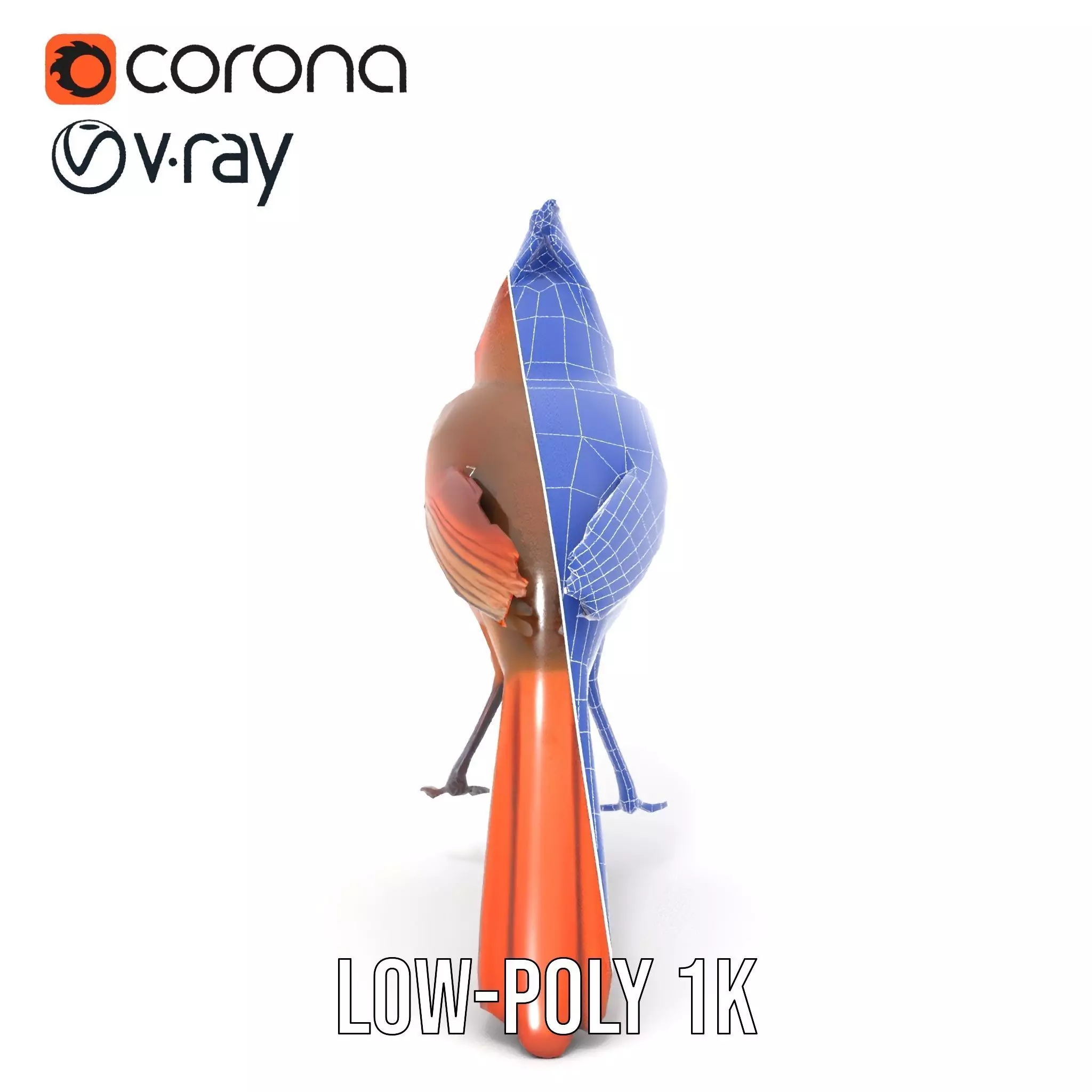 Scarlet Cardinal model pack Low-poly 3D model_32