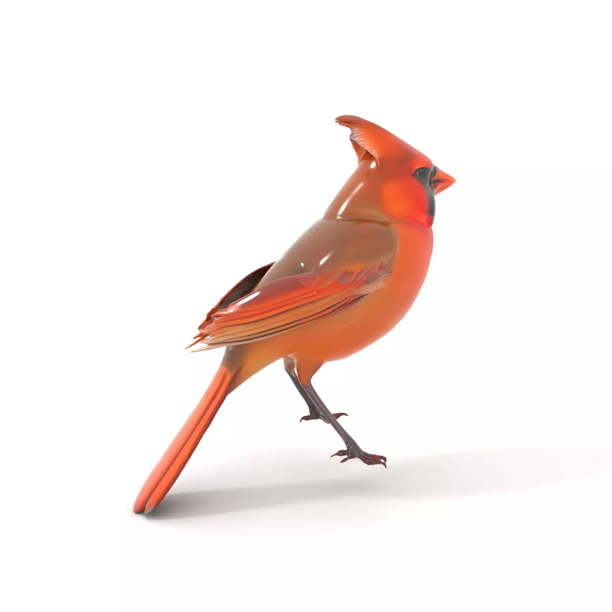 Scarlet Cardinal model pack Low-poly 3D model_12