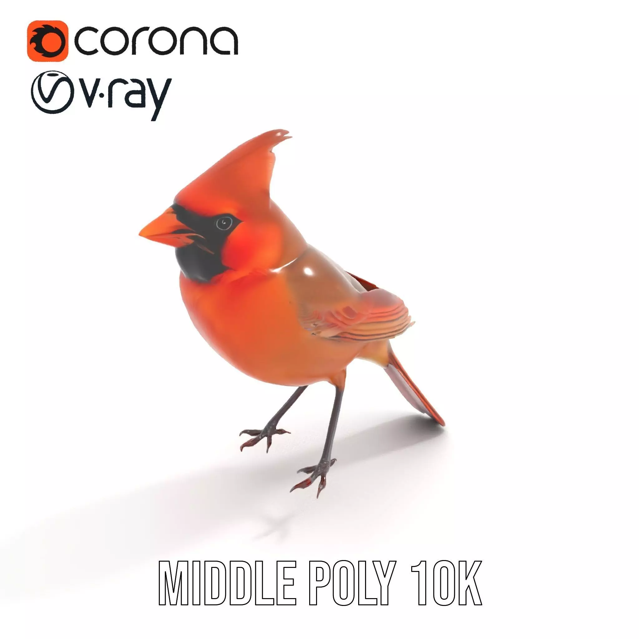 Scarlet Cardinal model pack Low-poly 3D model_7