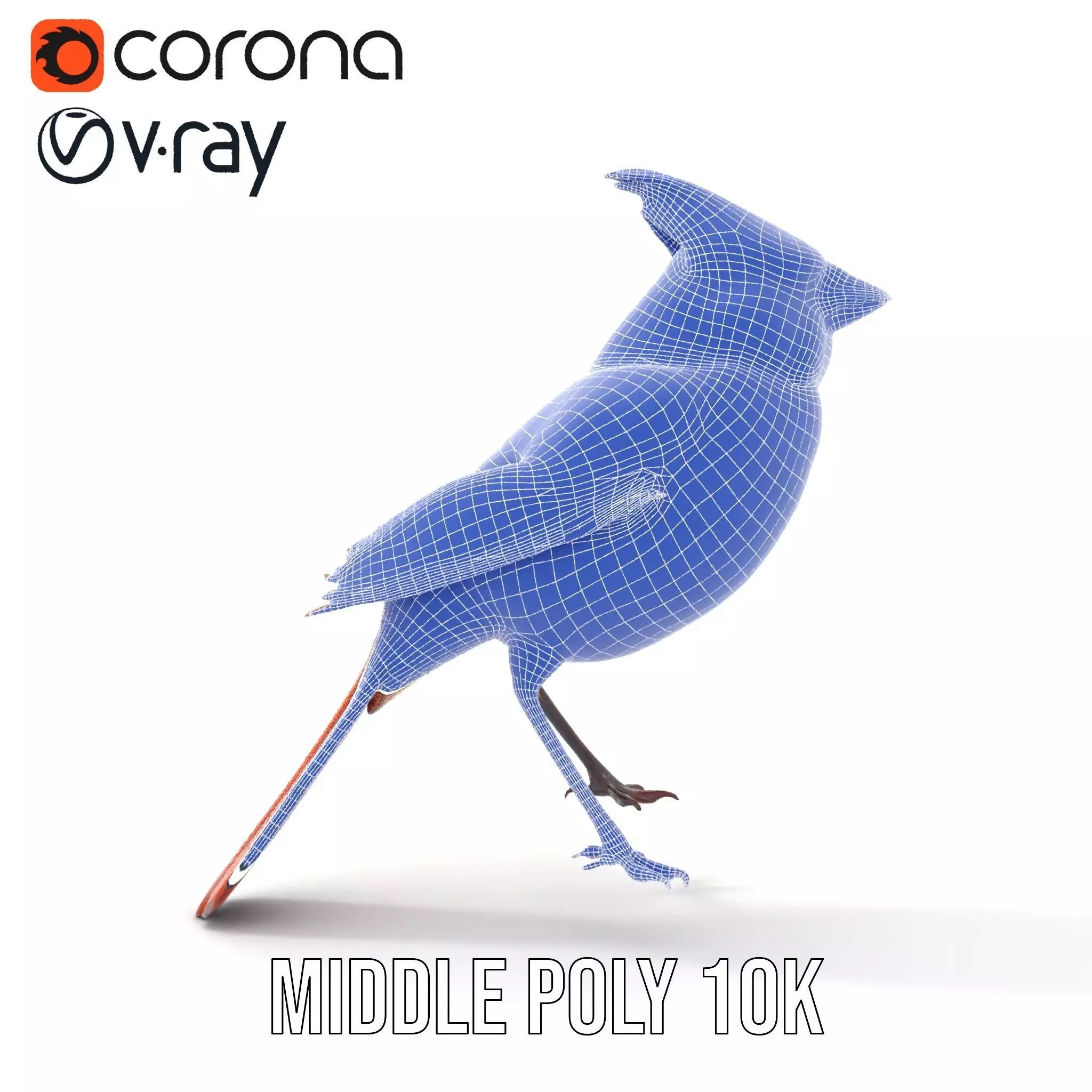 Scarlet Cardinal model pack Low-poly 3D model_25