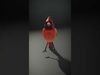 Scarlet Cardinal model pack Low-poly 3D model_2