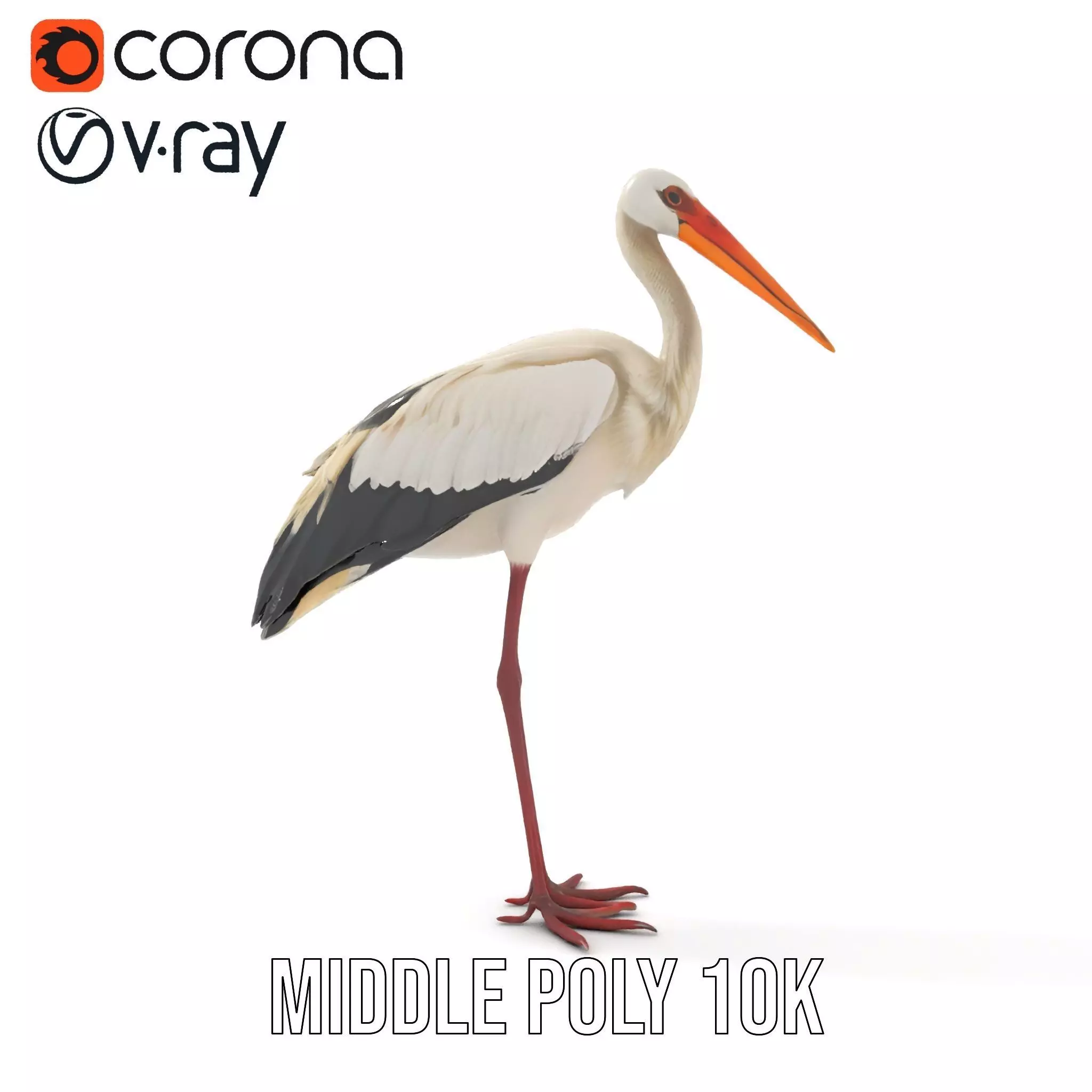 Elegant White Stork model pack Low-poly 3D model_12