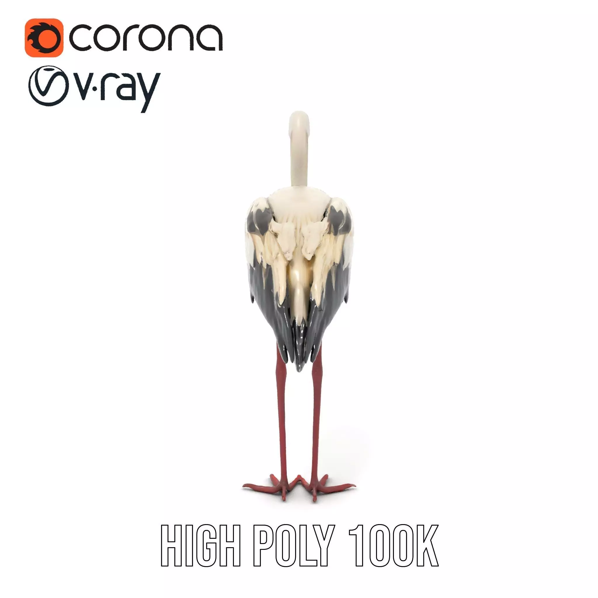 Elegant White Stork model pack Low-poly 3D model_22