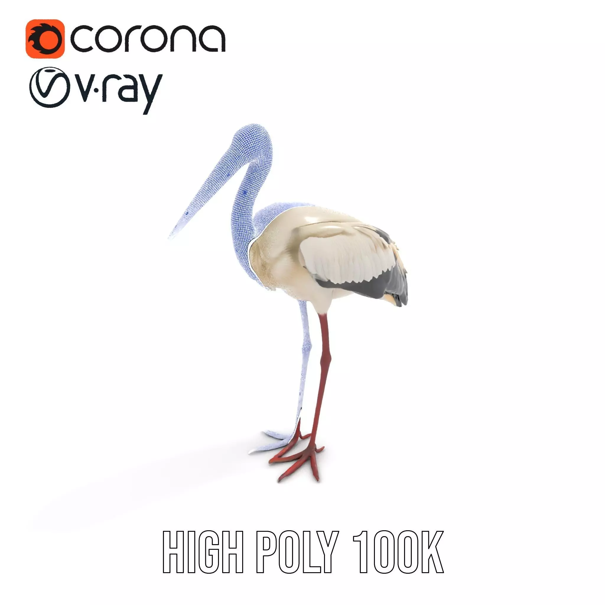Elegant White Stork model pack Low-poly 3D model_34
