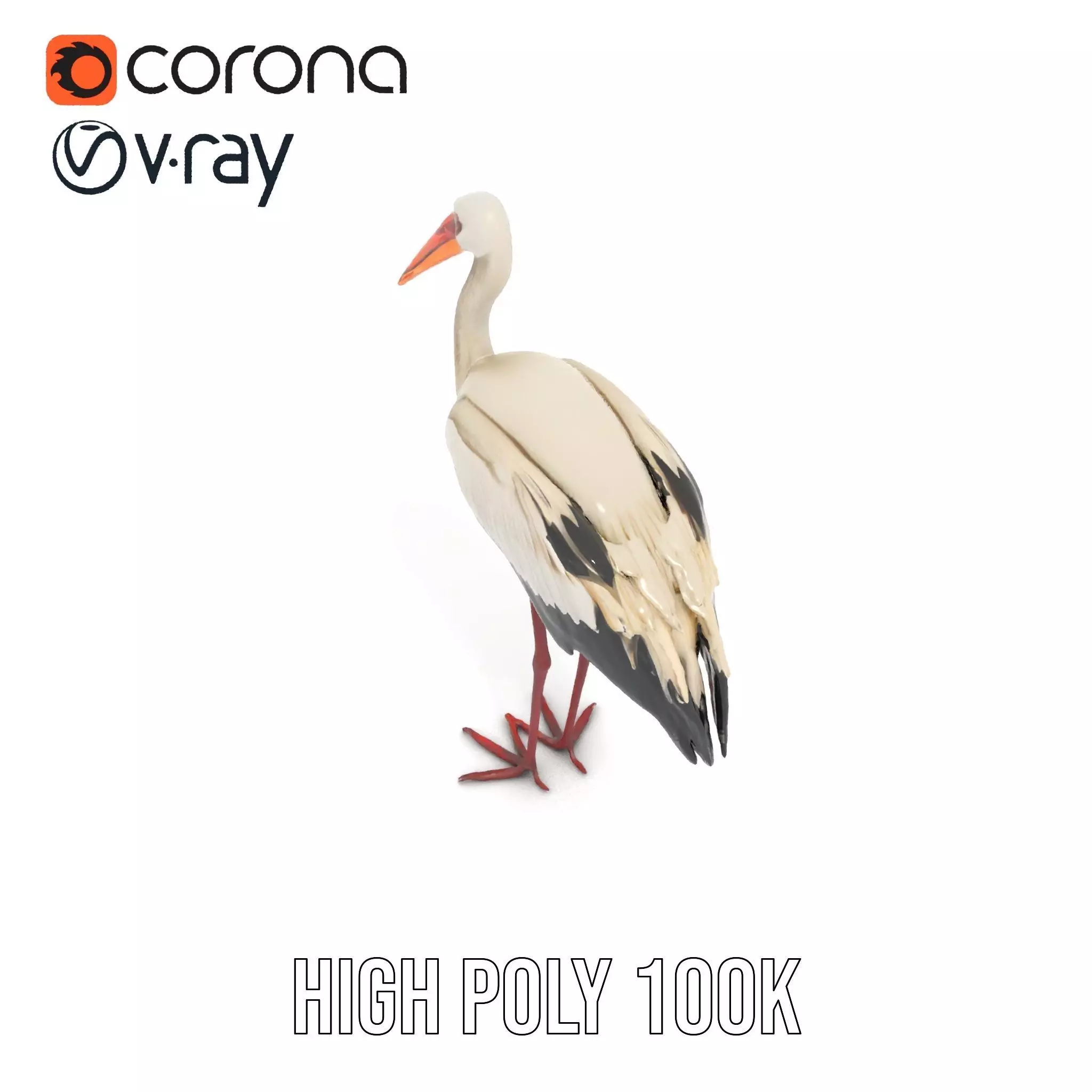 Elegant White Stork model pack Low-poly 3D model_16