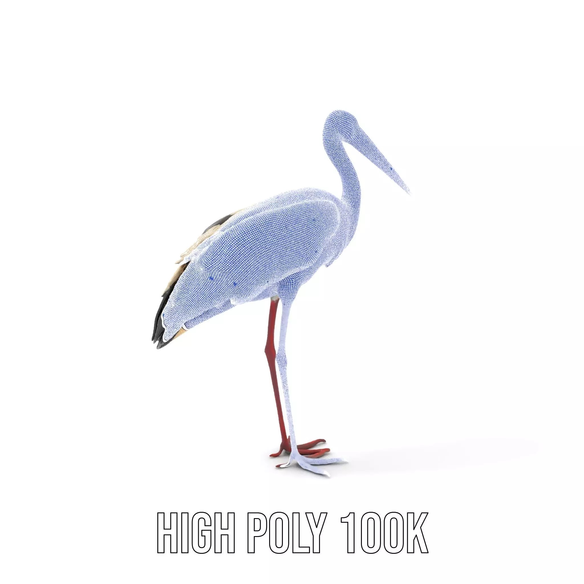 Elegant White Stork model pack Low-poly 3D model_5