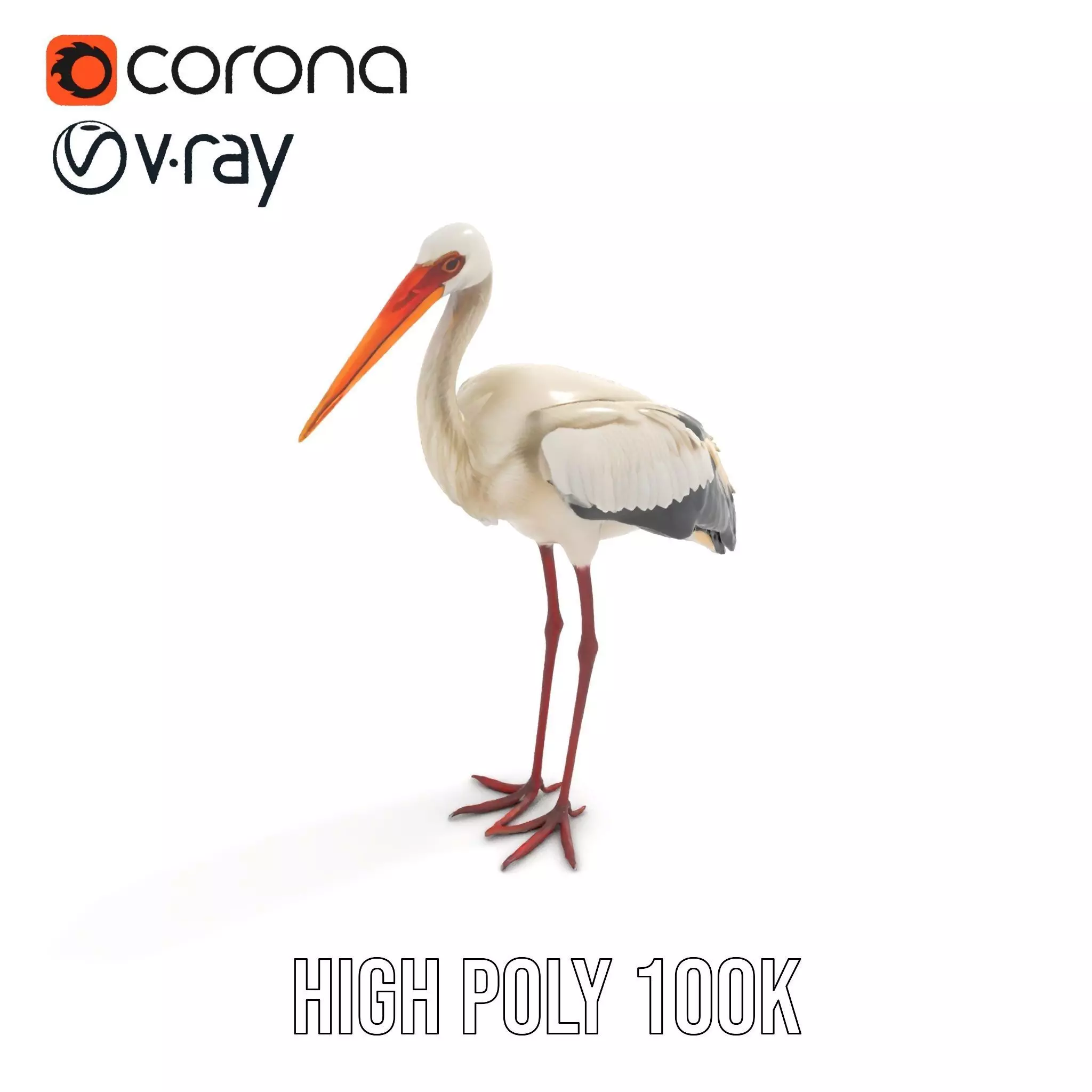 Elegant White Stork model pack Low-poly 3D model_19