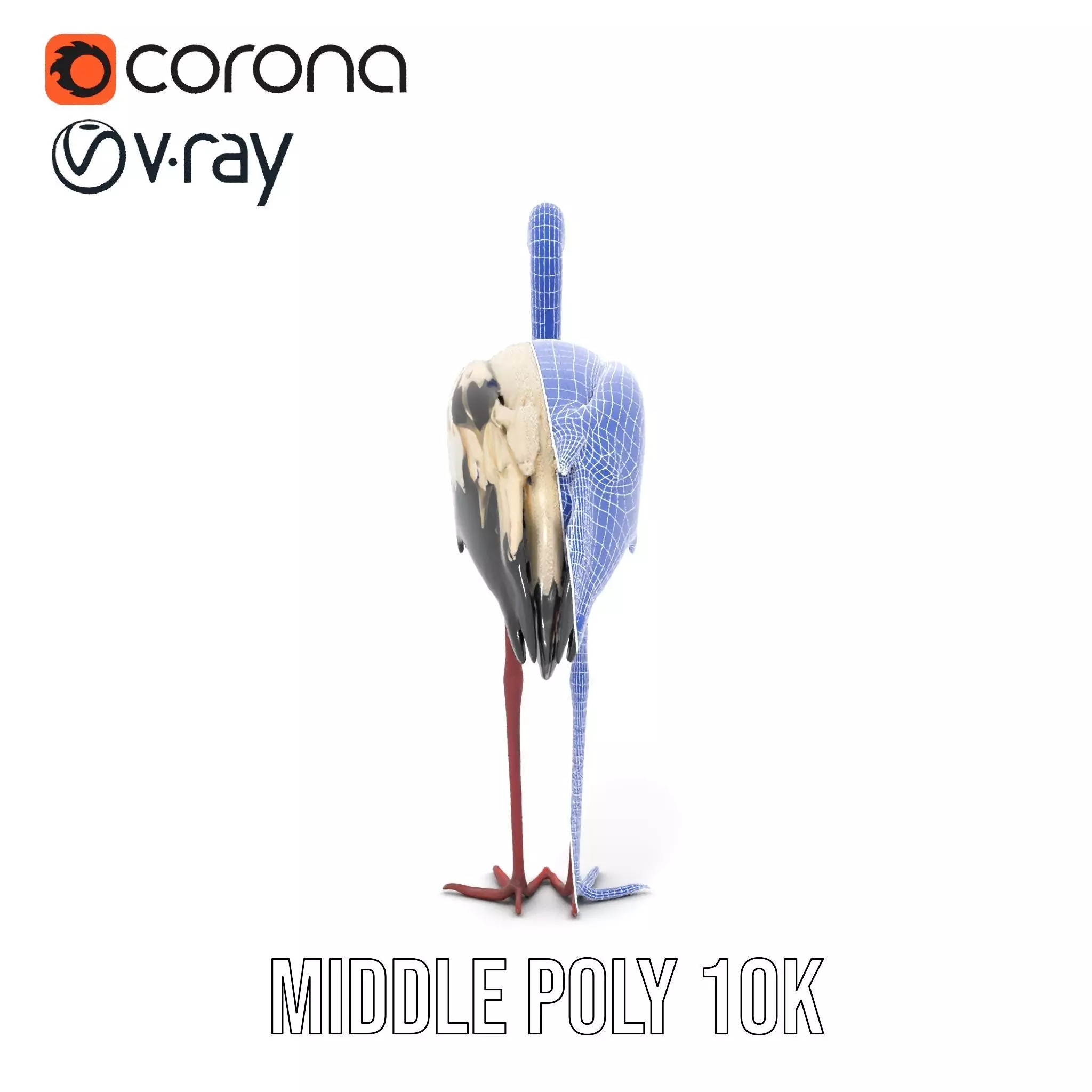 Elegant White Stork model pack Low-poly 3D model_28