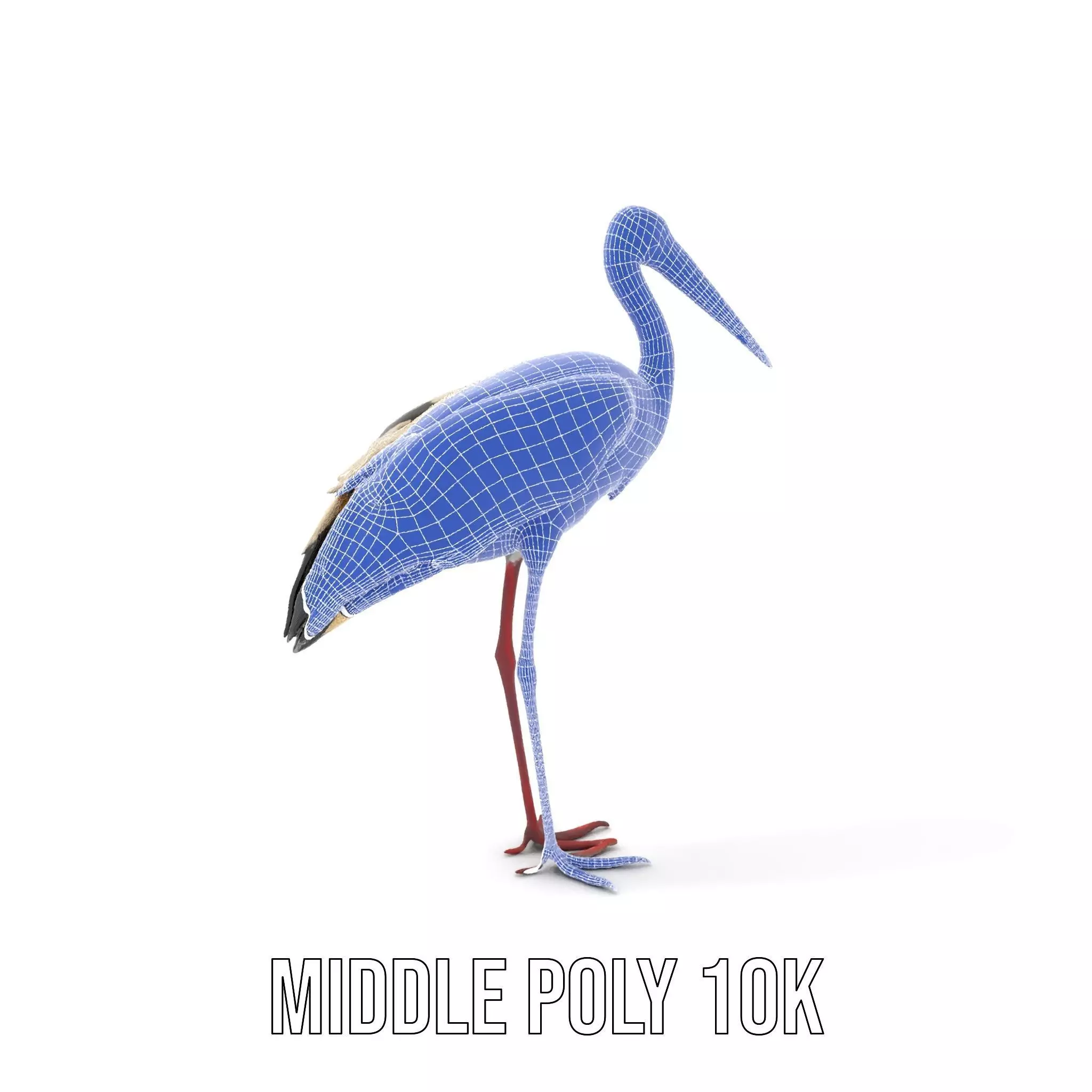 Elegant White Stork model pack Low-poly 3D model_6