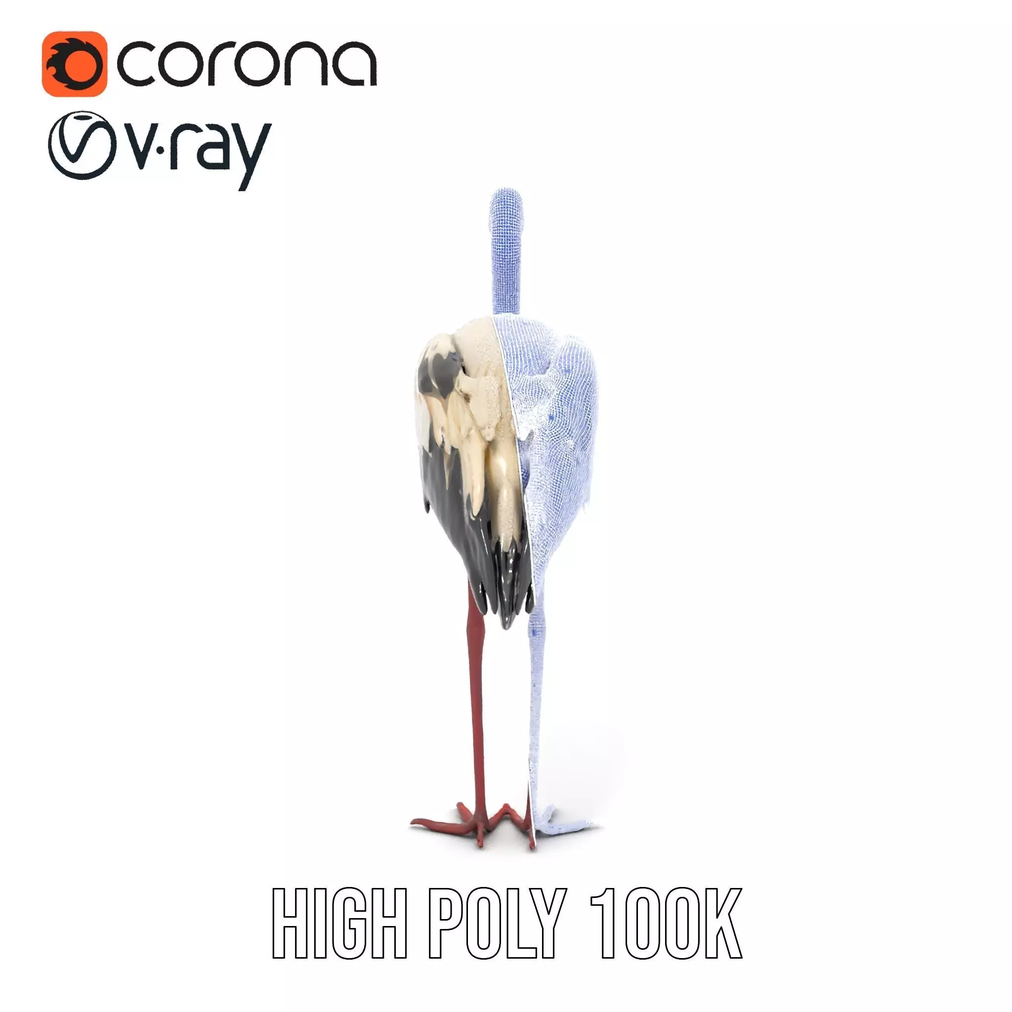 Elegant White Stork model pack Low-poly 3D model_35