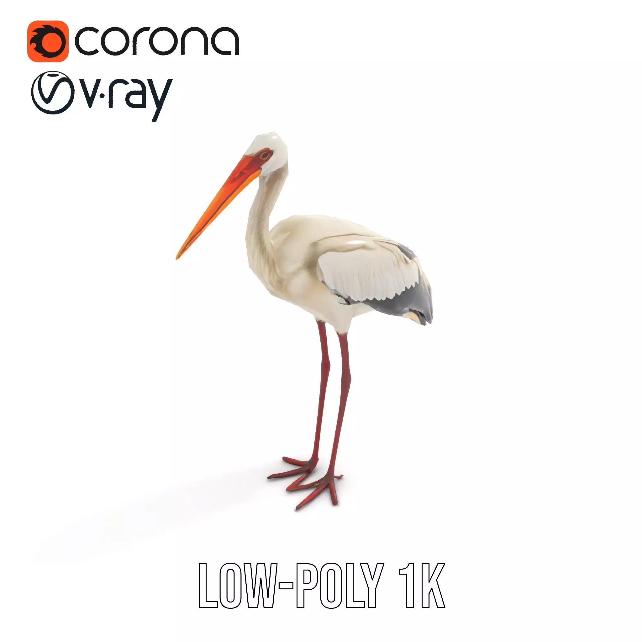 Elegant White Stork model pack Low-poly 3D model_8