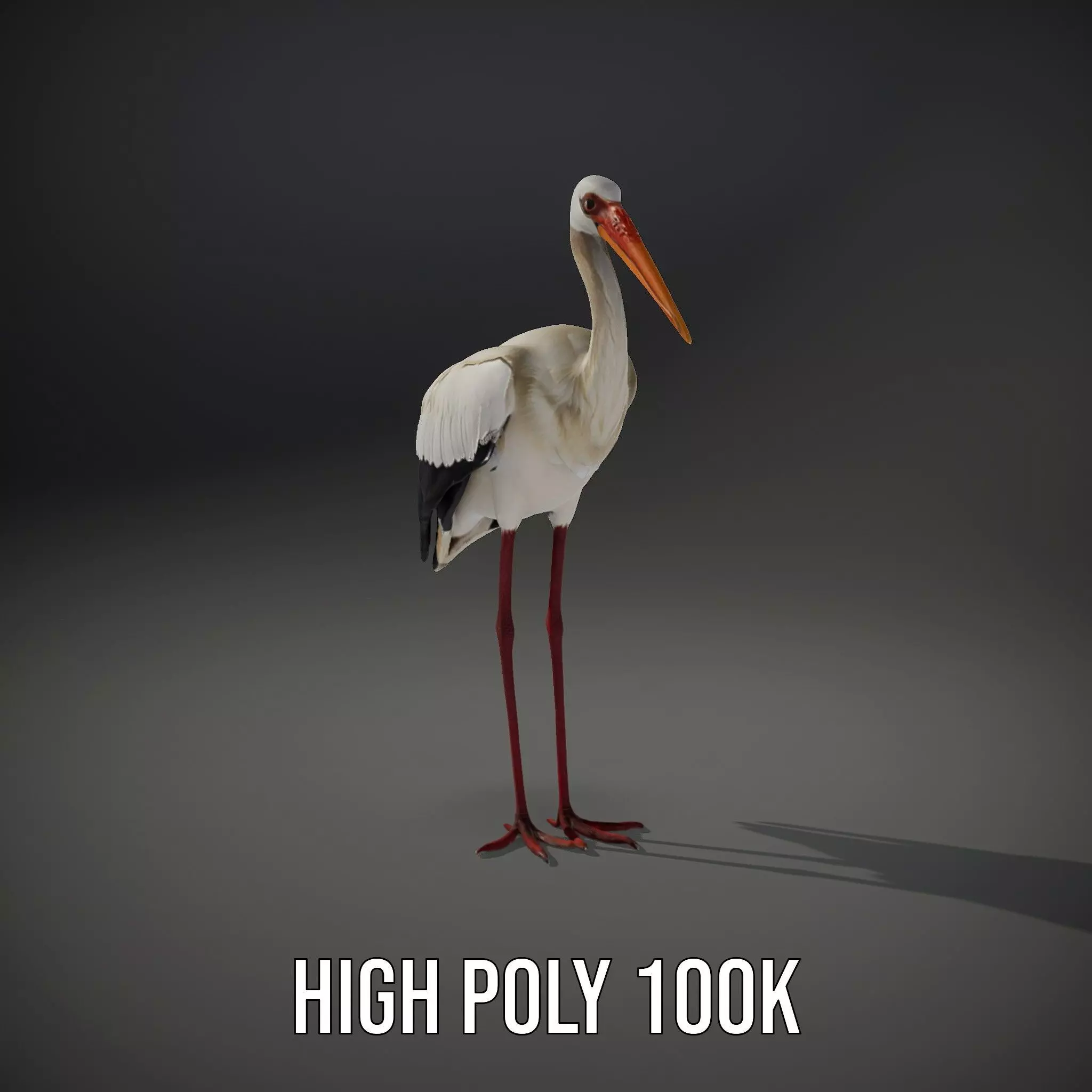 Elegant White Stork model pack Low-poly 3D model_11