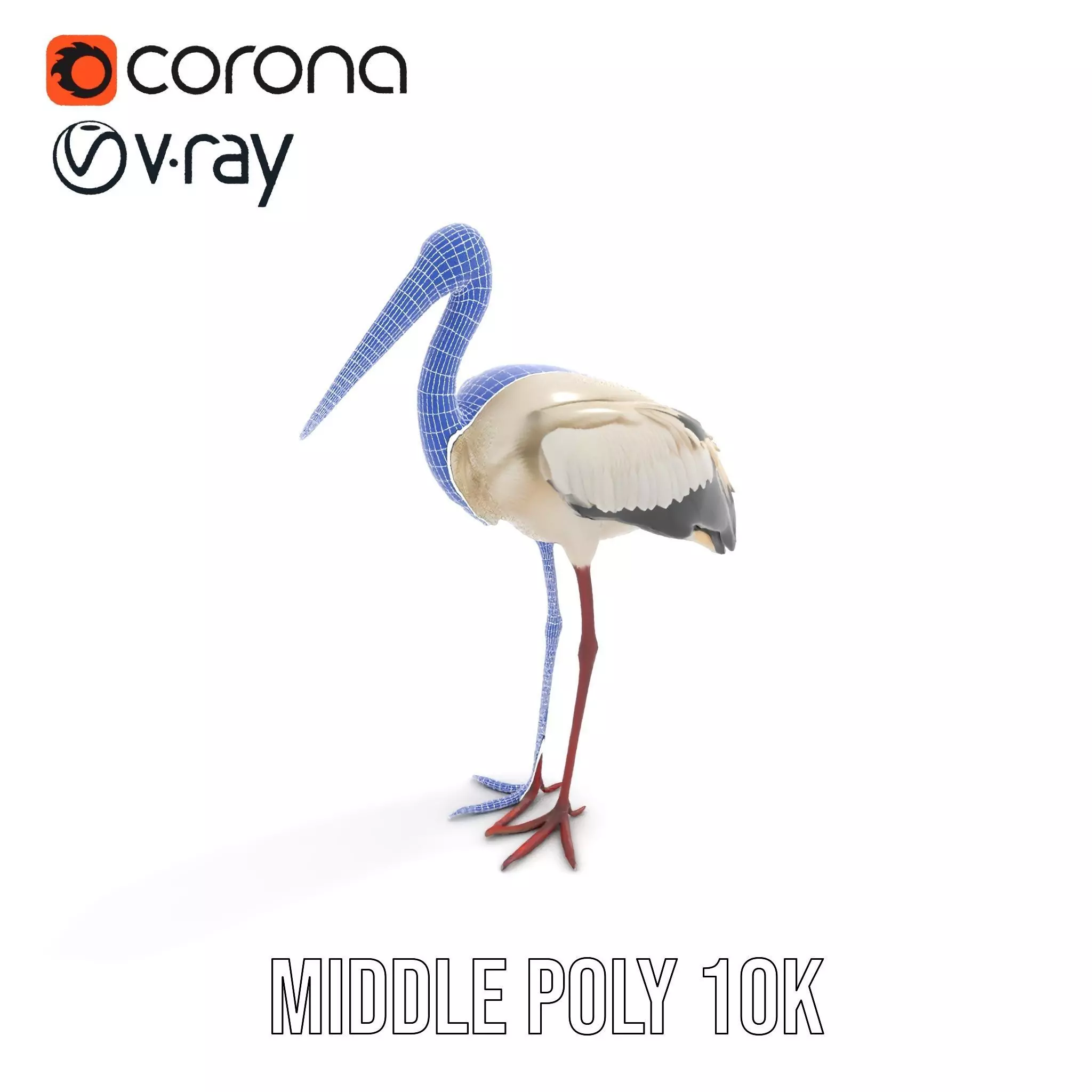 Elegant White Stork model pack Low-poly 3D model_17