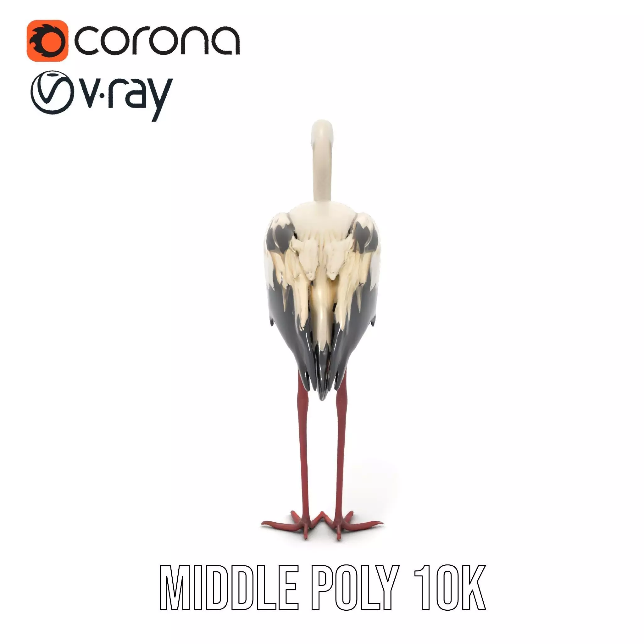 Elegant White Stork model pack Low-poly 3D model_26