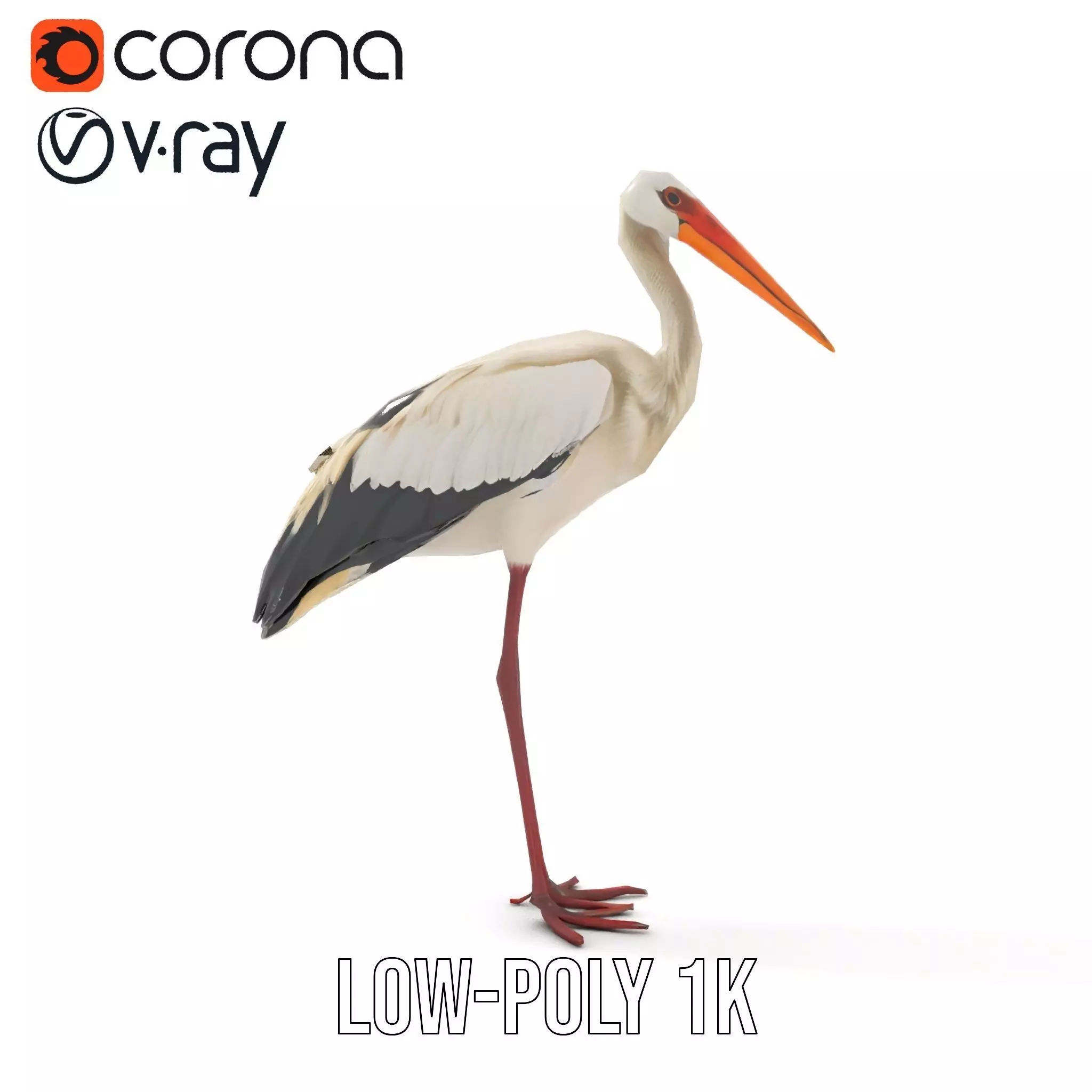 Elegant White Stork model pack Low-poly 3D model_21