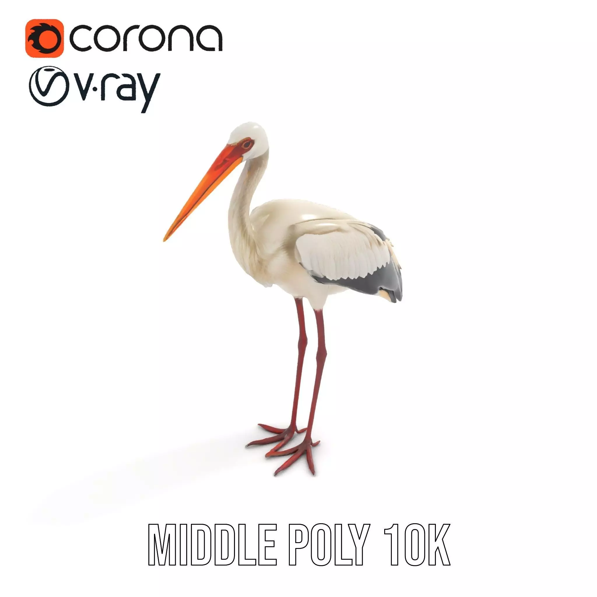Elegant White Stork model pack Low-poly 3D model_23