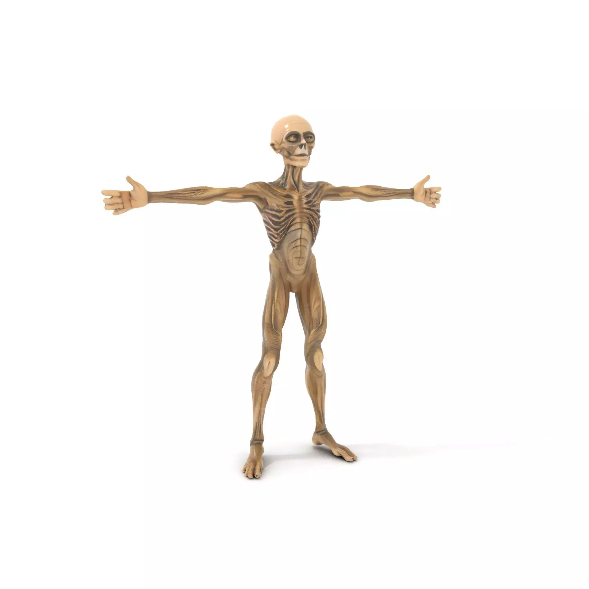 Alien Skeletal Figure model pack Low-poly 3D model_0