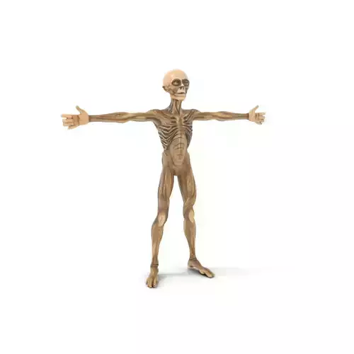 Alien Skeletal Figure model pack