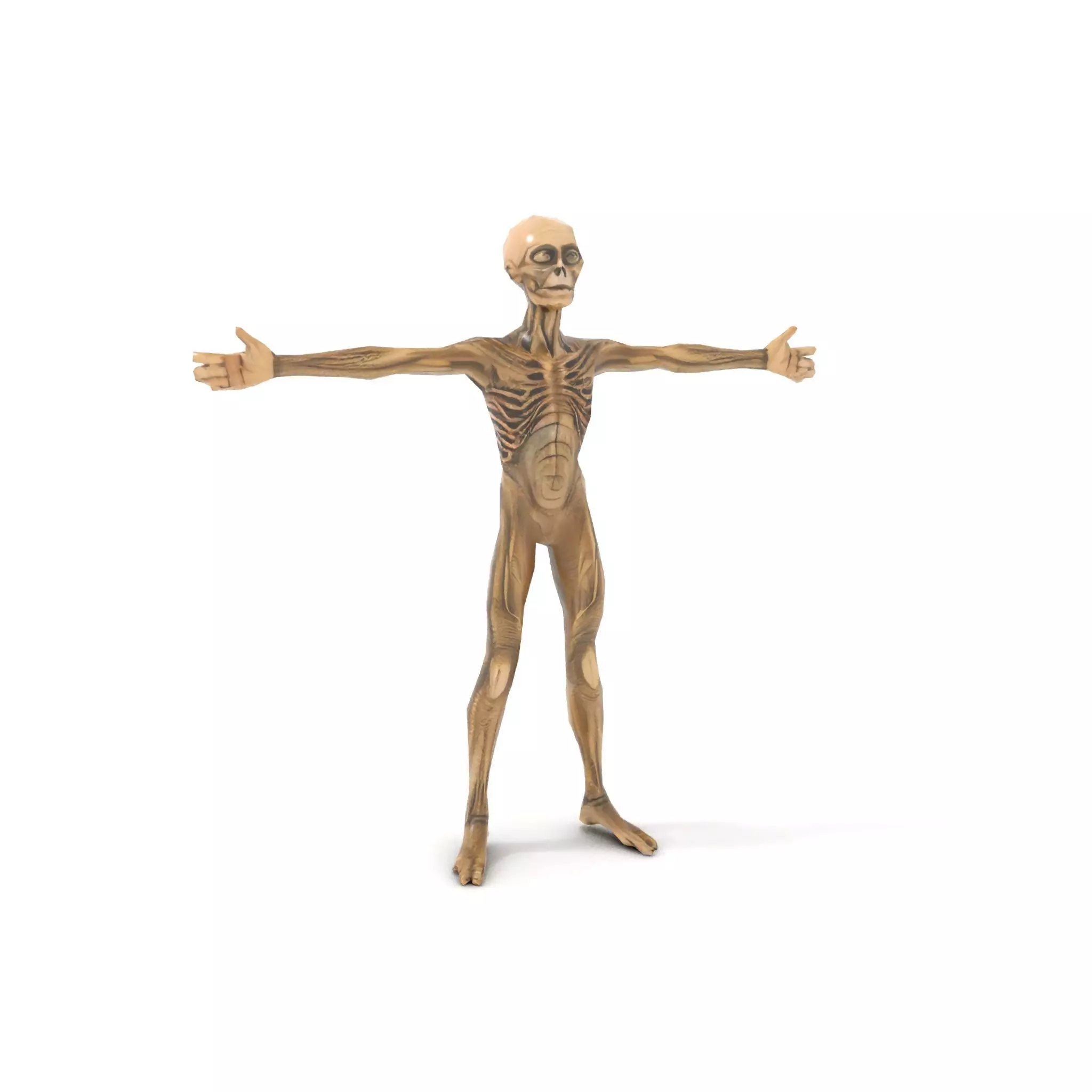 Alien Skeletal Figure model pack Low-poly 3D model_9