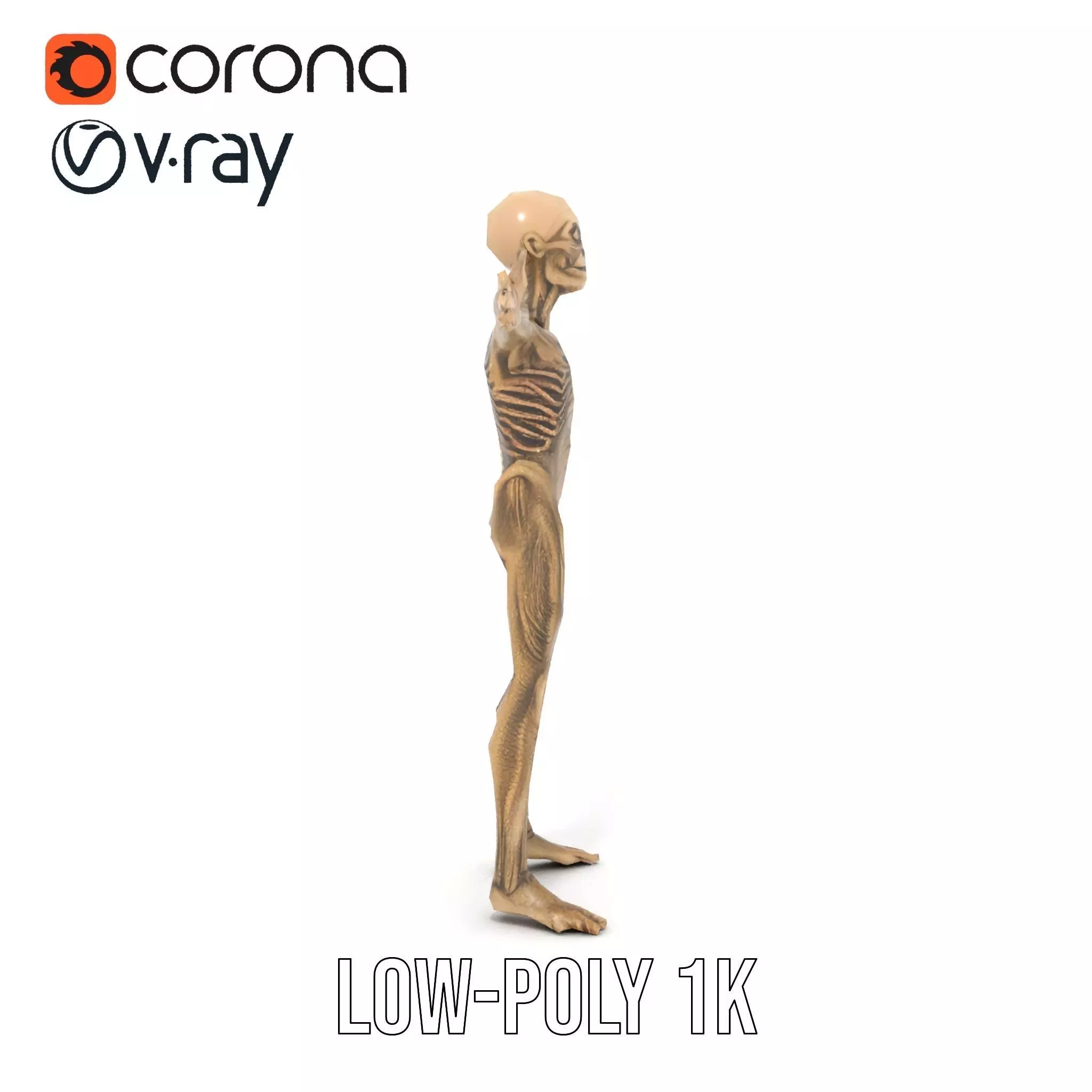 Alien Skeletal Figure model pack Low-poly 3D model_15