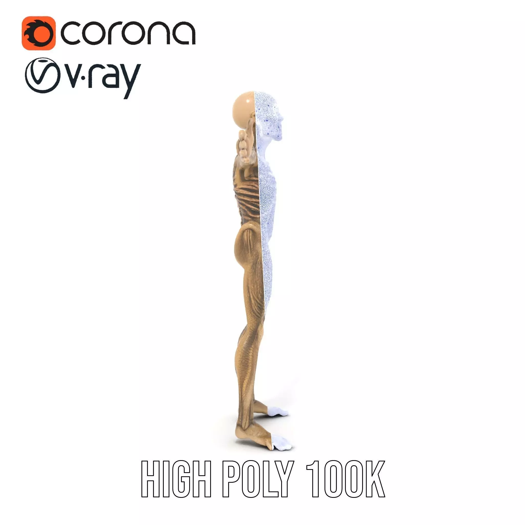 Alien Skeletal Figure model pack Low-poly 3D model_30