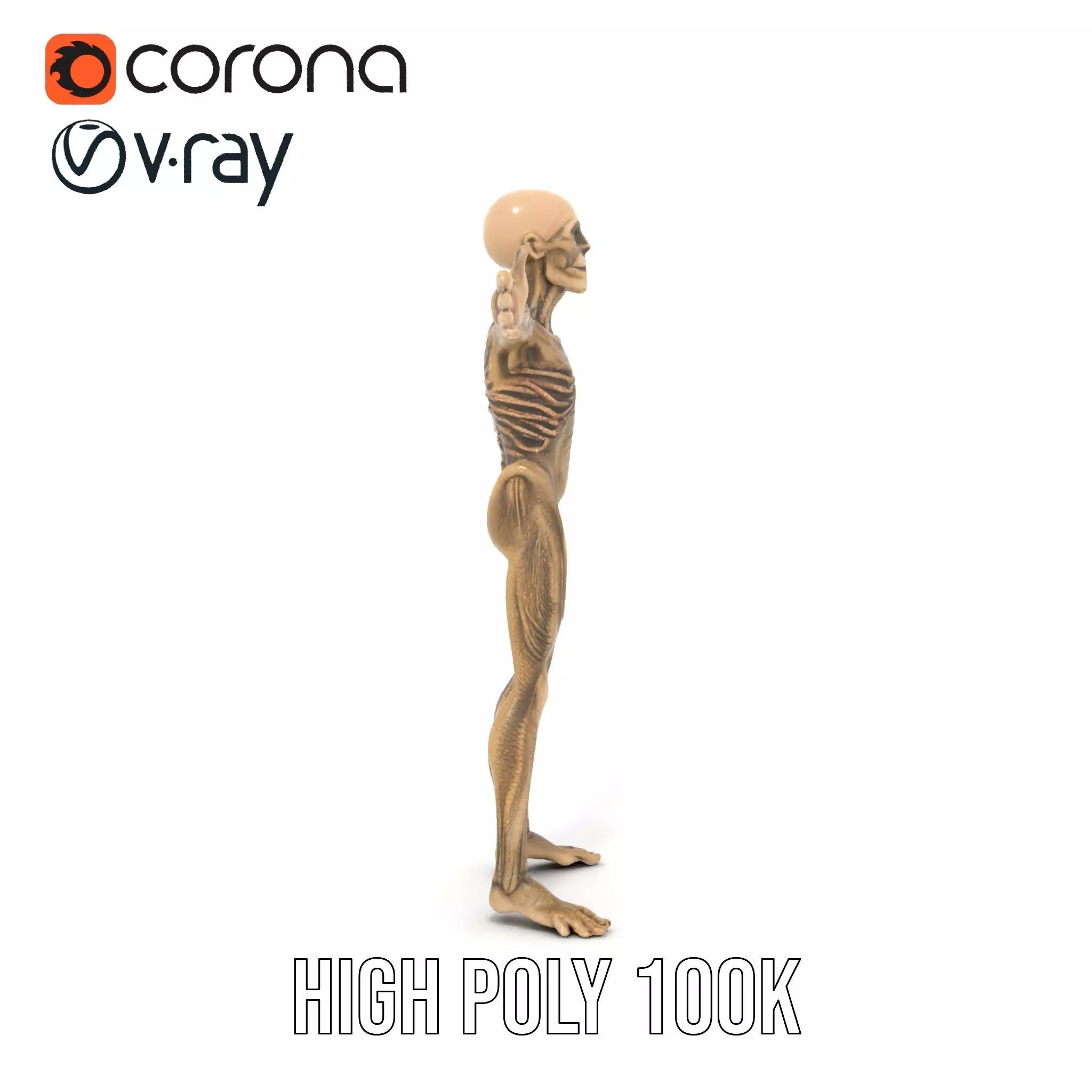 Alien Skeletal Figure model pack Low-poly 3D model_21