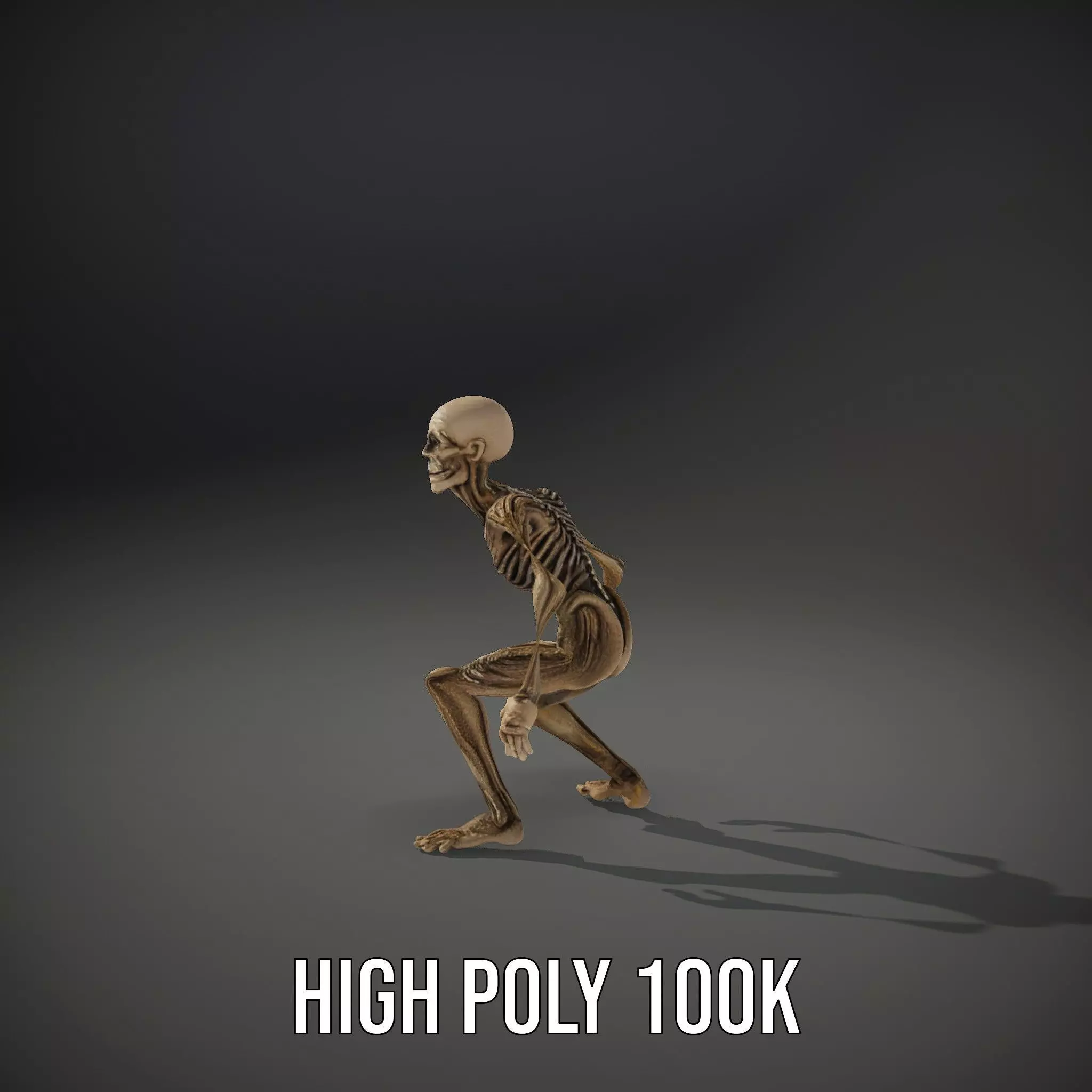 Alien Skeletal Figure model pack Low-poly 3D model_24