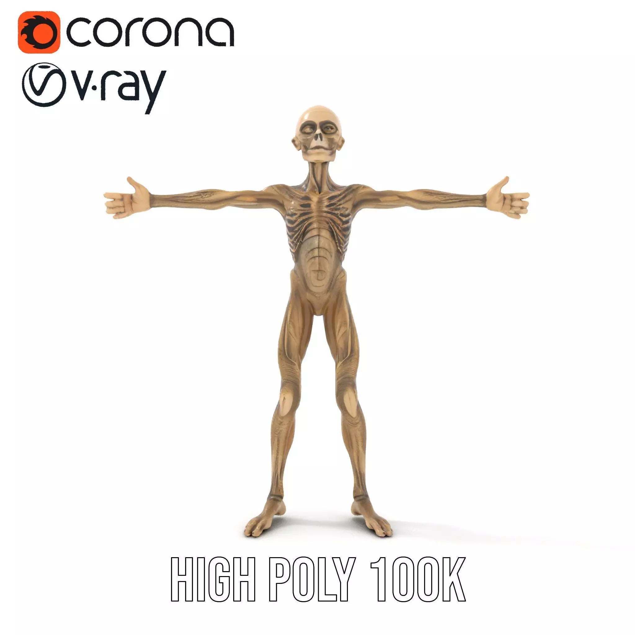 Alien Skeletal Figure model pack Low-poly 3D model_10