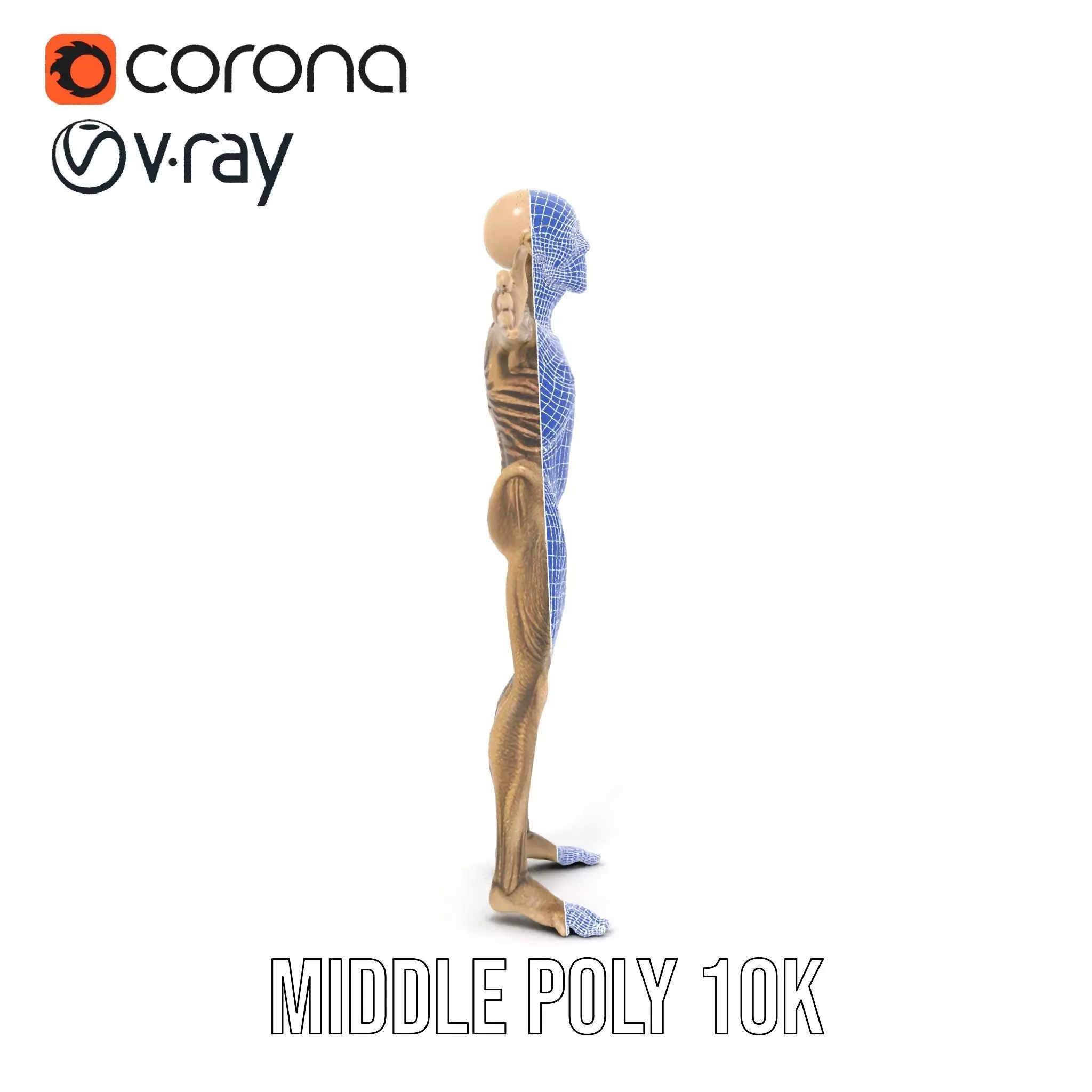 Alien Skeletal Figure model pack Low-poly 3D model_19