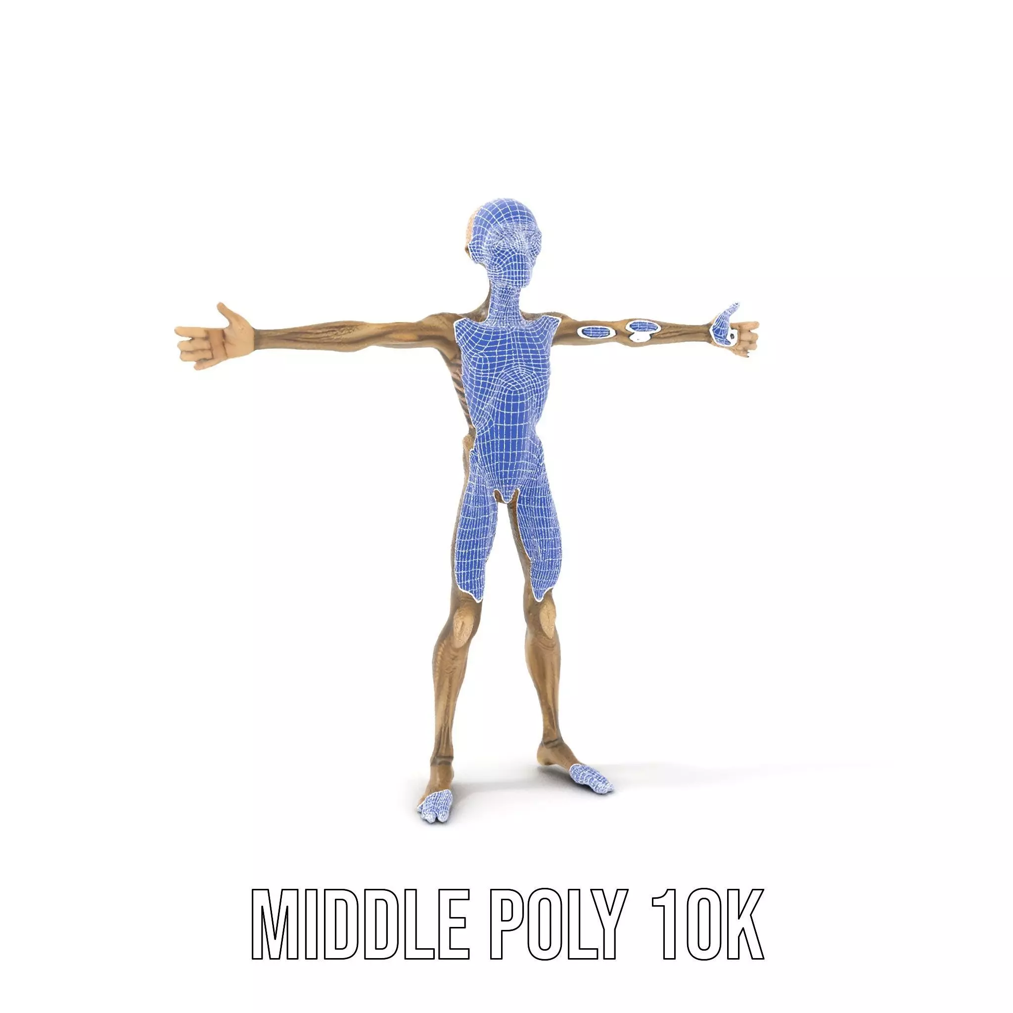 Alien Skeletal Figure model pack Low-poly 3D model_28