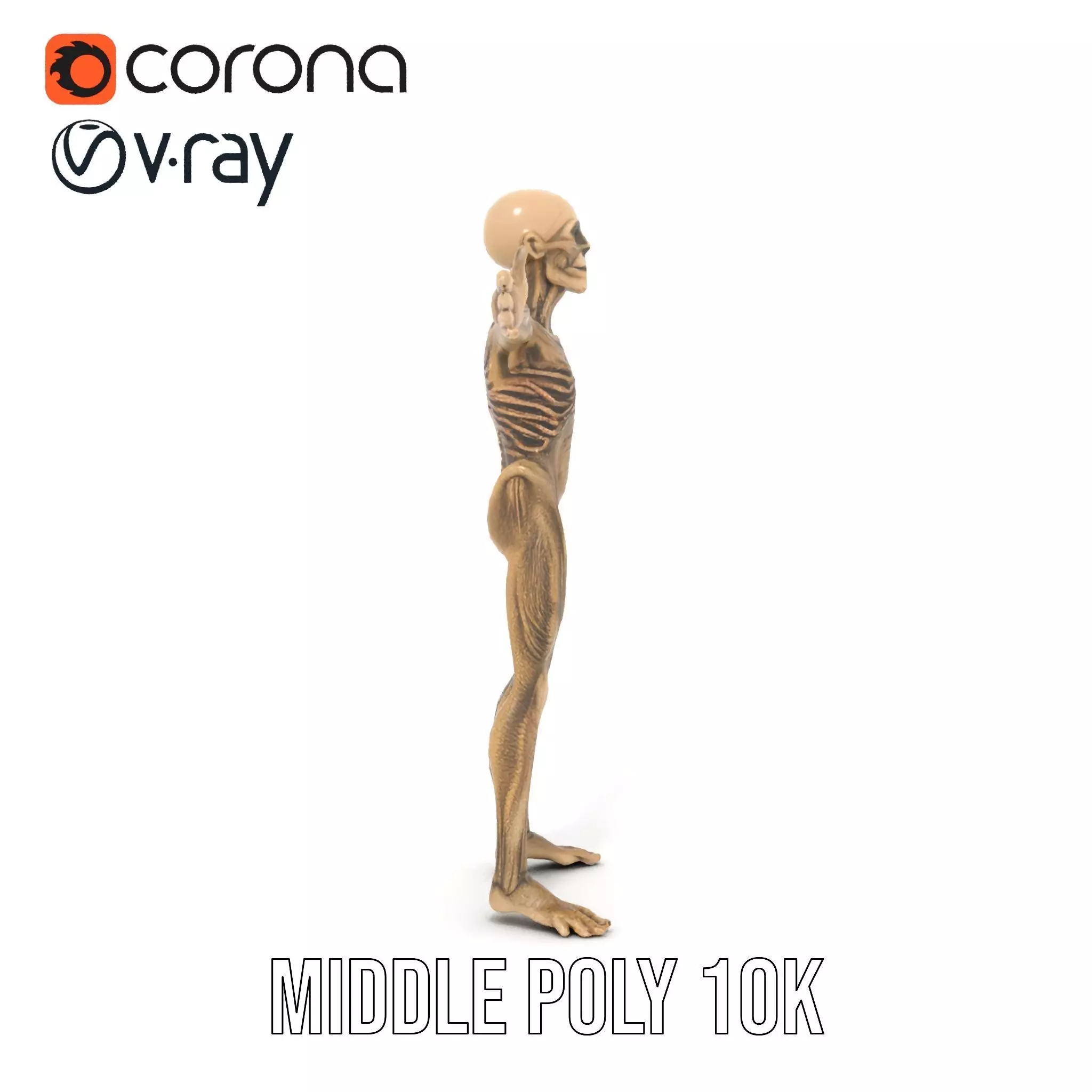 Alien Skeletal Figure model pack Low-poly 3D model_22