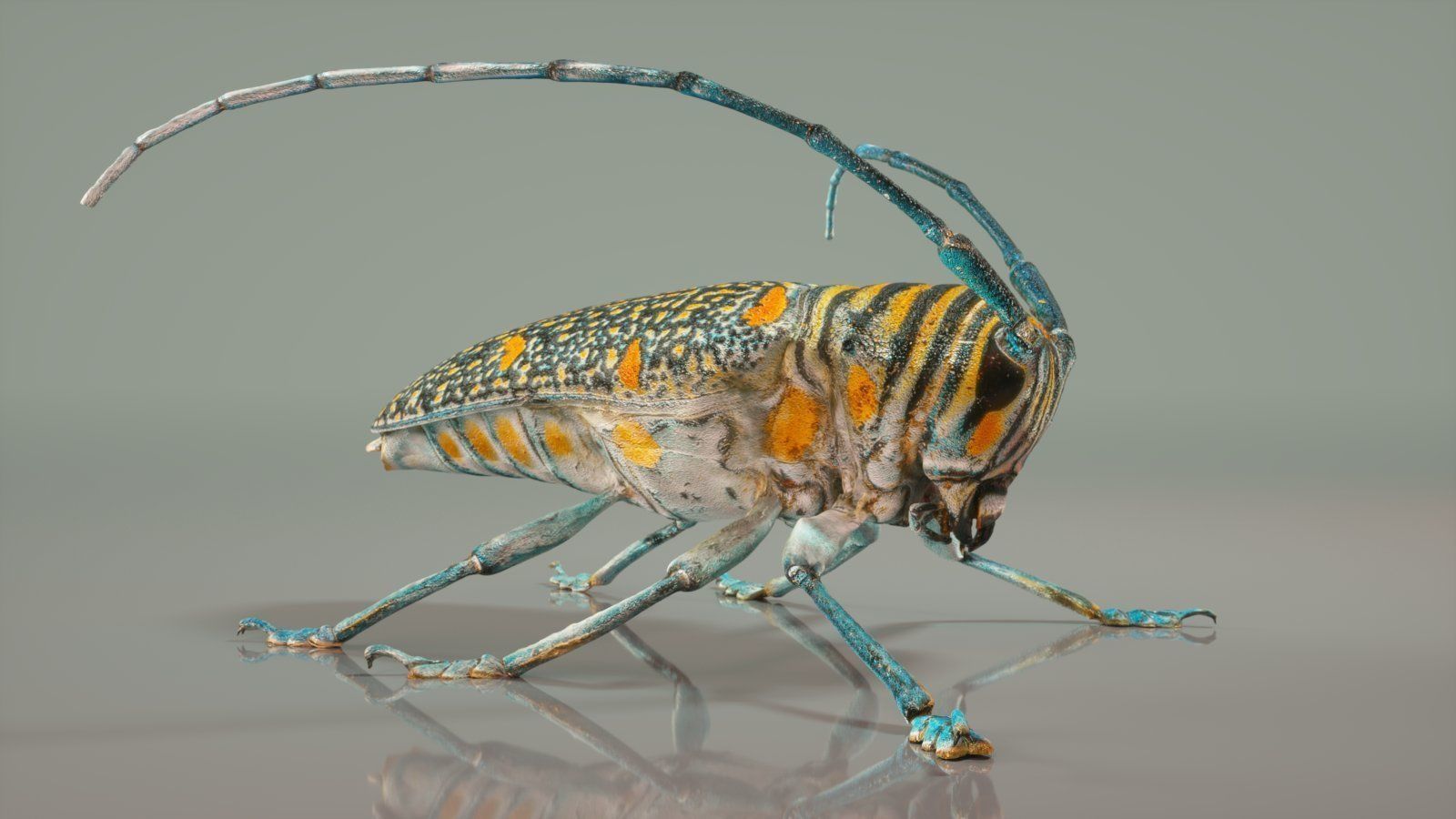 Insect Master Collection Low-poly 3D model_1