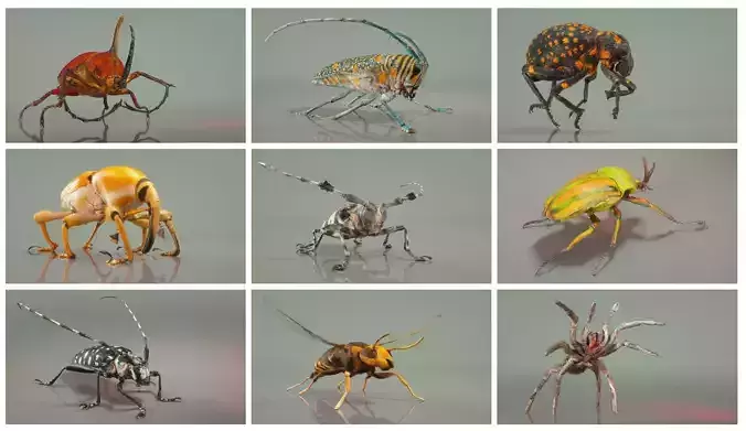 Insect Master Collection Low-poly 3D model
