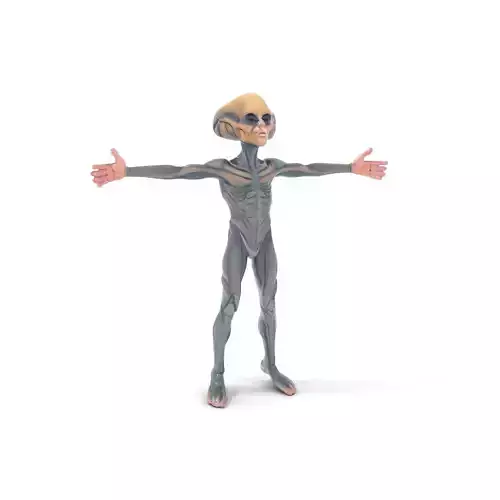 Intergalactic Explorer model pack