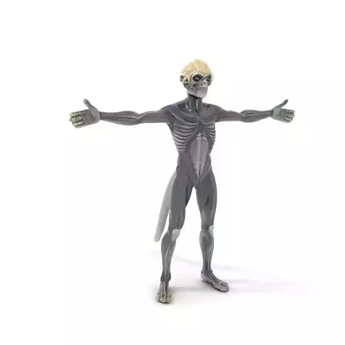 Alien Creature model pack