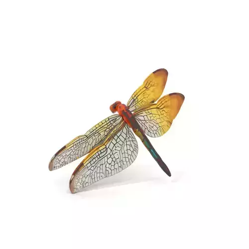 Vibrant Dragonfly model pack