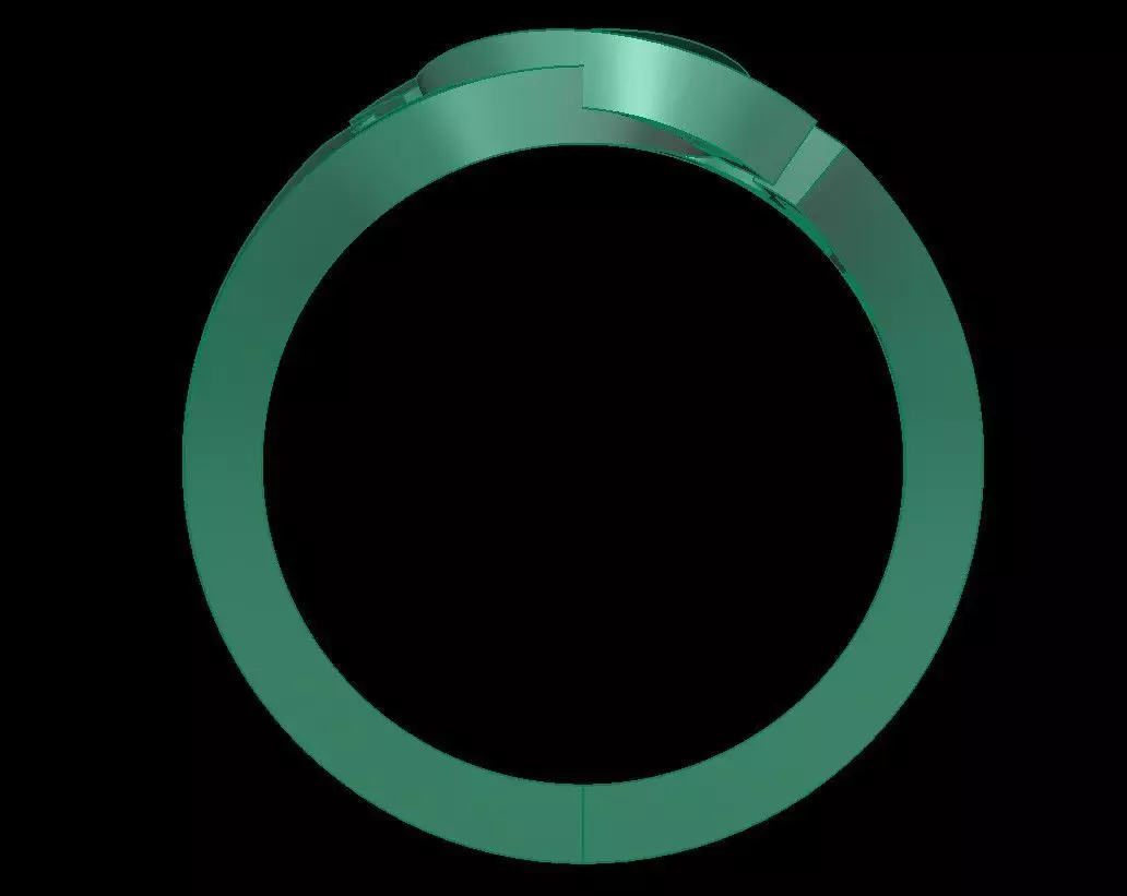 Fred Rings 3D print model_3