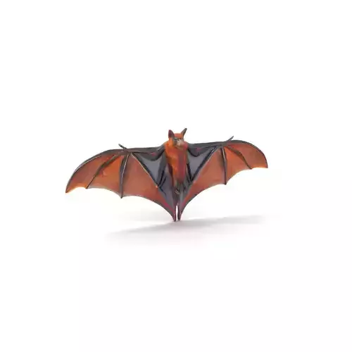 Golden Winged Bat model pack