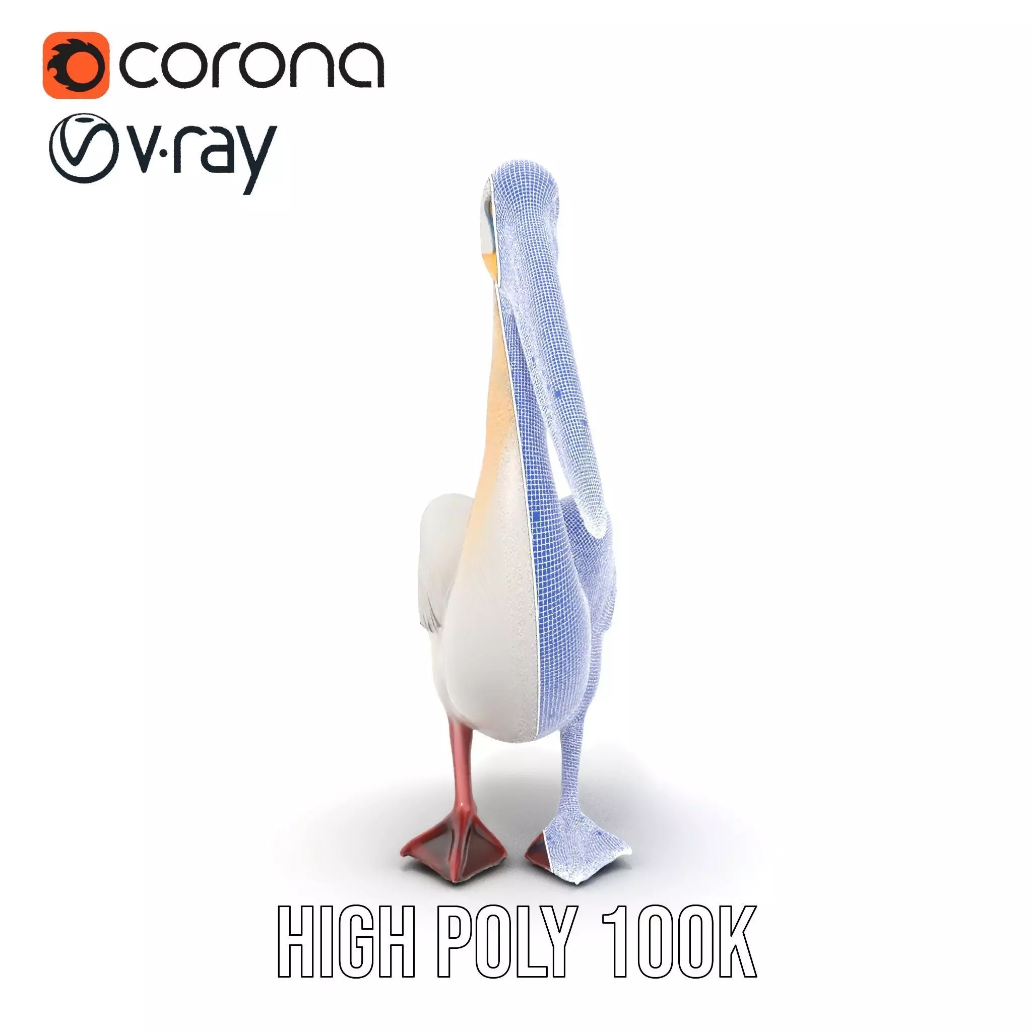 Elegant White Pelican model pack Low-poly 3D model_34